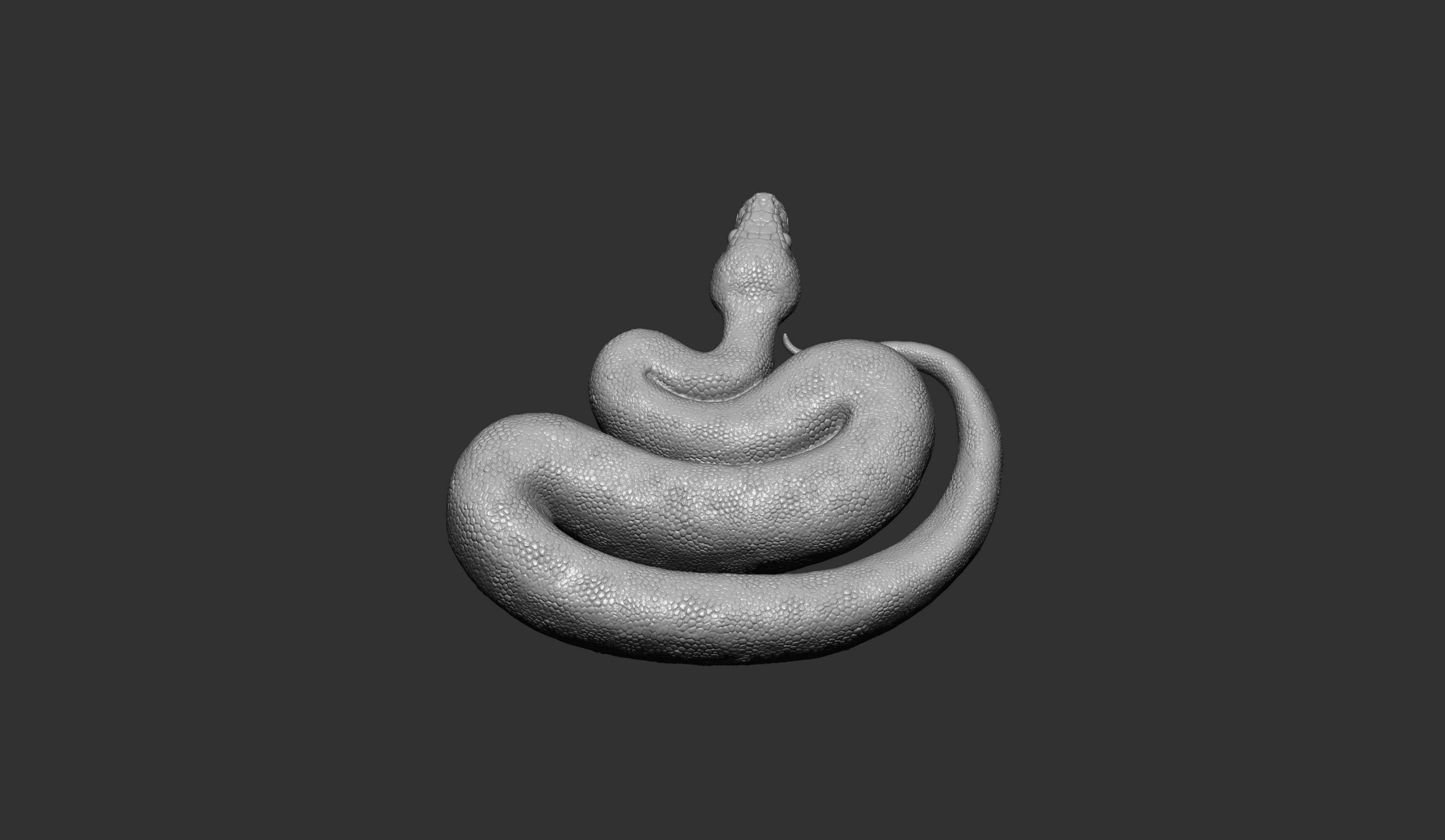 Ball Pythons 3D Print Model by Alexander3dart