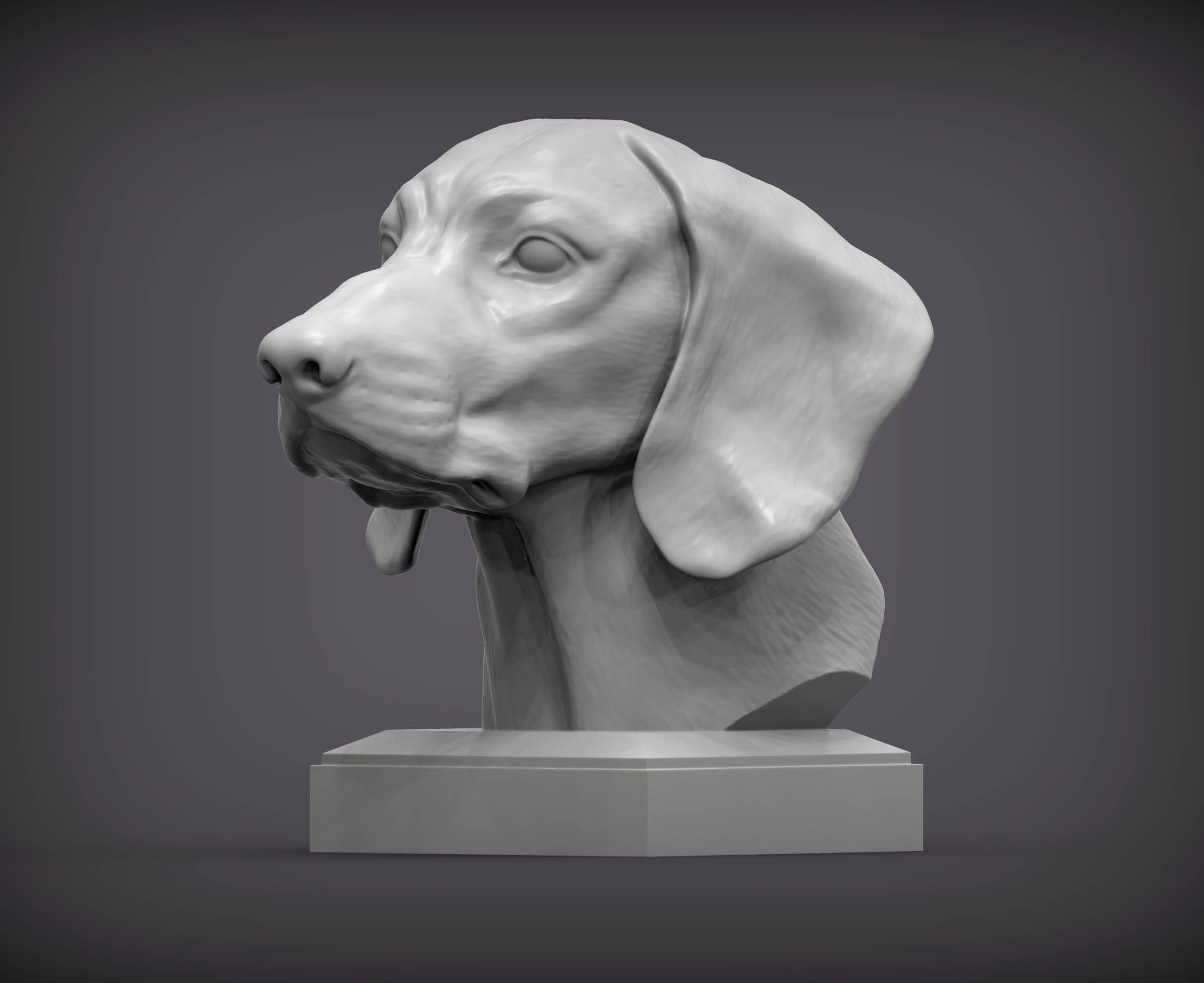 Bavarian Mountain Bloodhound Bust 3D Print Model by Alexander3dart