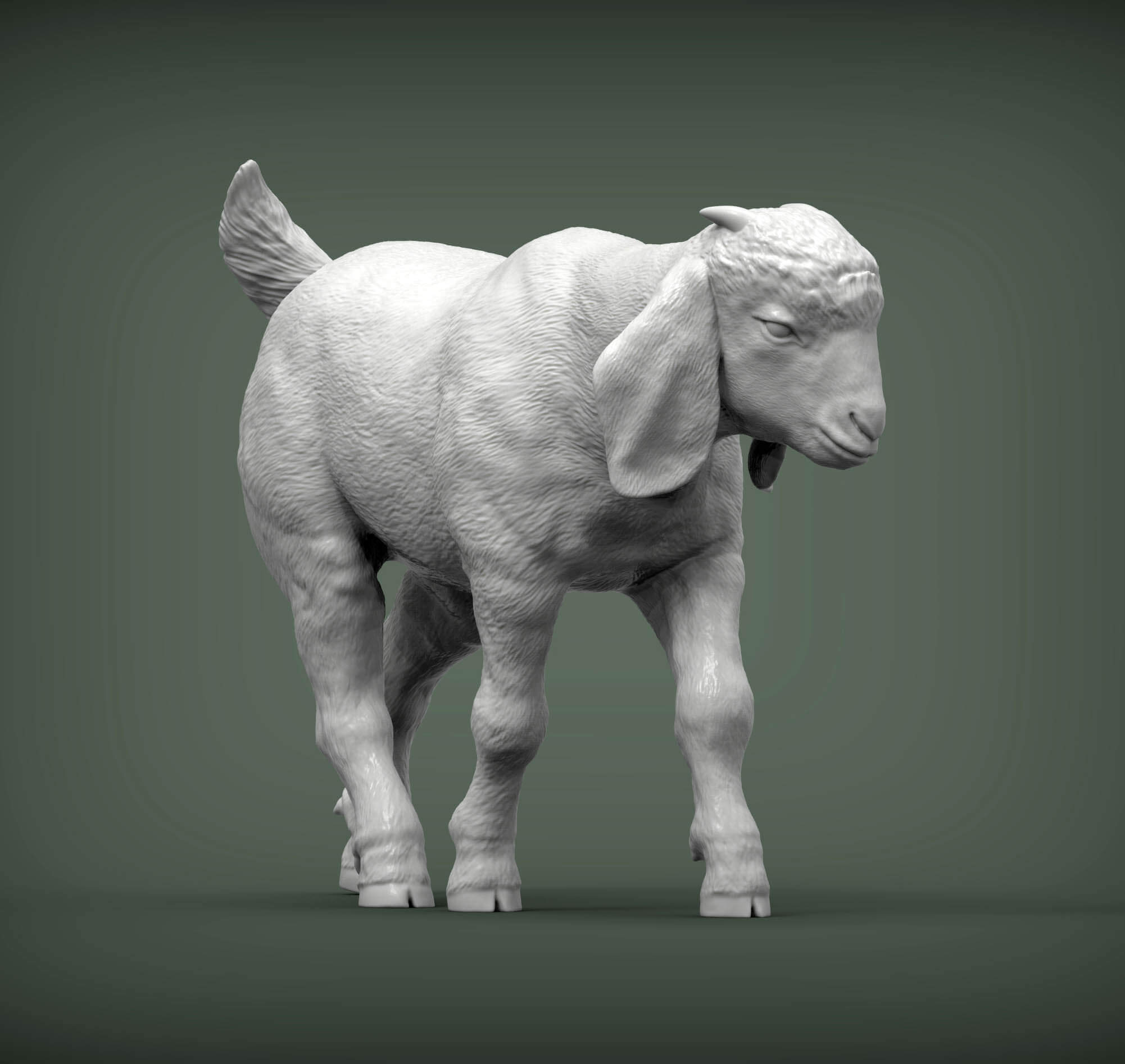 Modelling Goat Boer Goat Baby Walks 3D Print Model by Alexander3dart