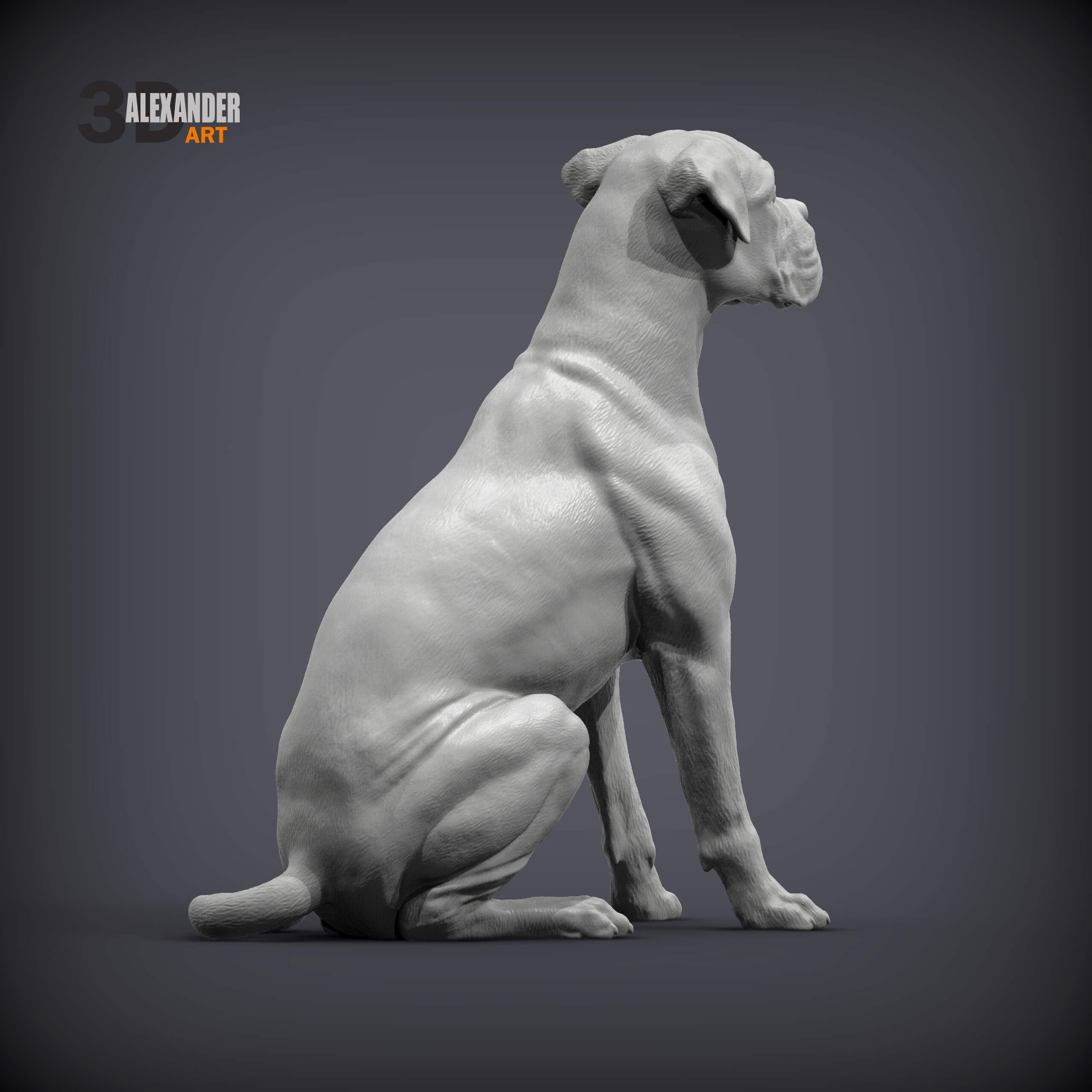 Boxer Dog Sitting - 3D Model by Alexander3dart