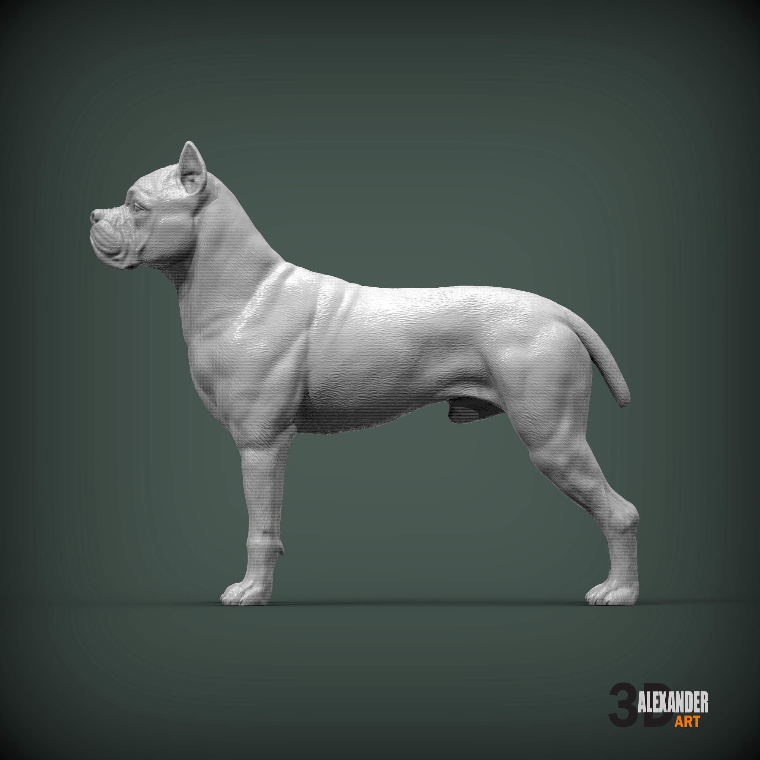 Cane Corso Model Cane Corso Sculpture - 3D Model by Alexander3dart