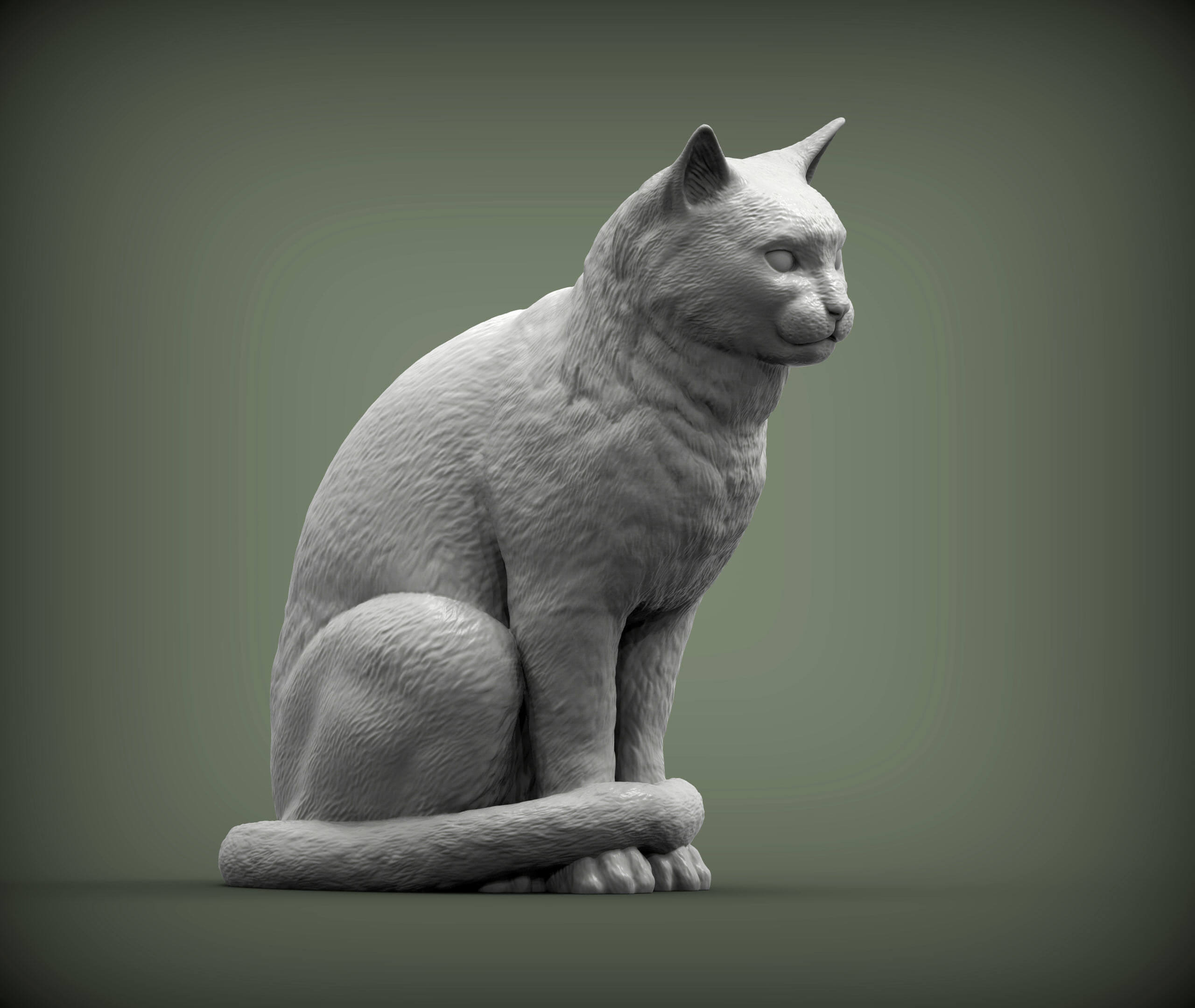 Cat Is Sitting - 3D Model by Alexander3dart