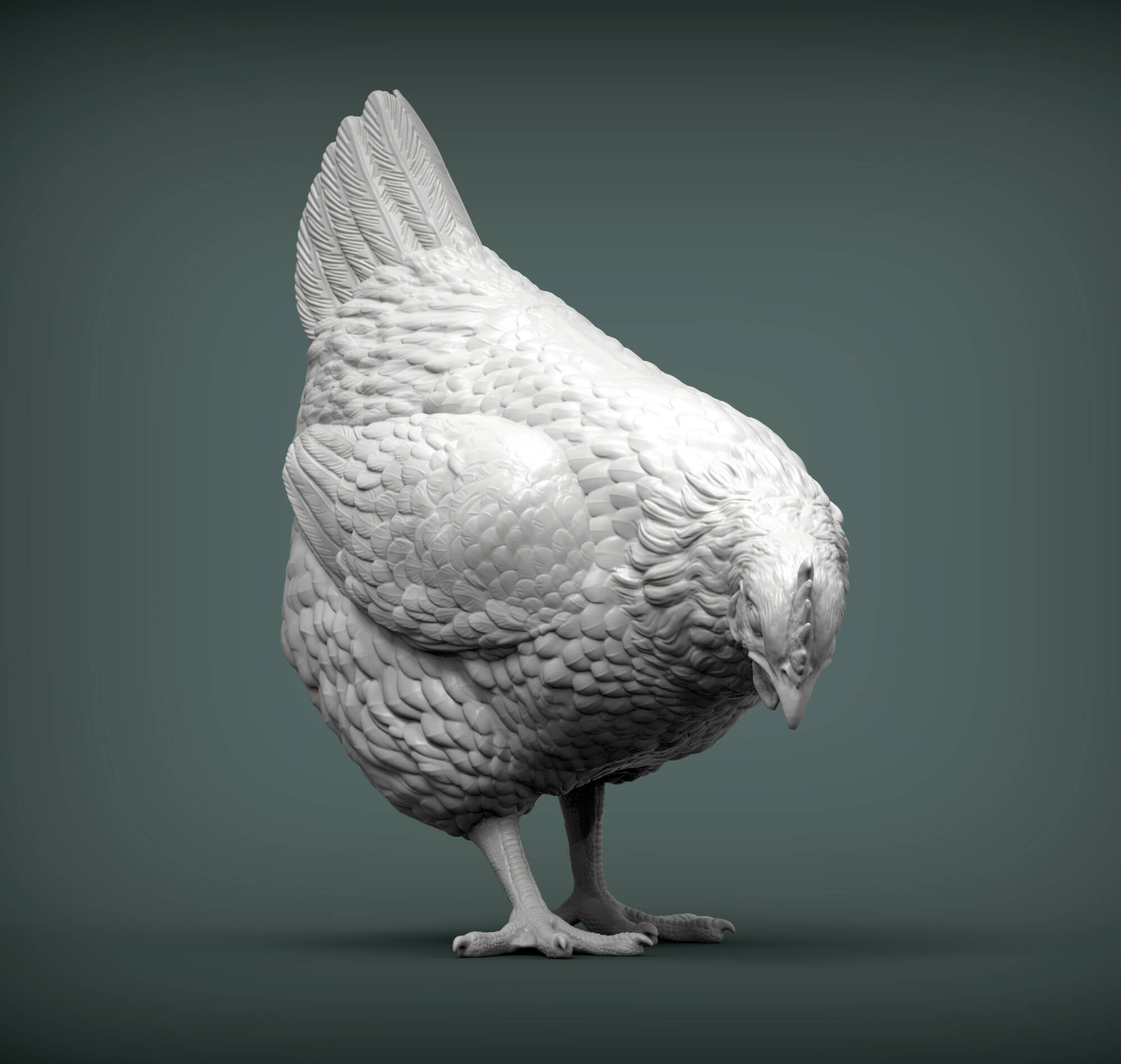 Chicken Looking for Food 3D Print Model by Alexander3dart