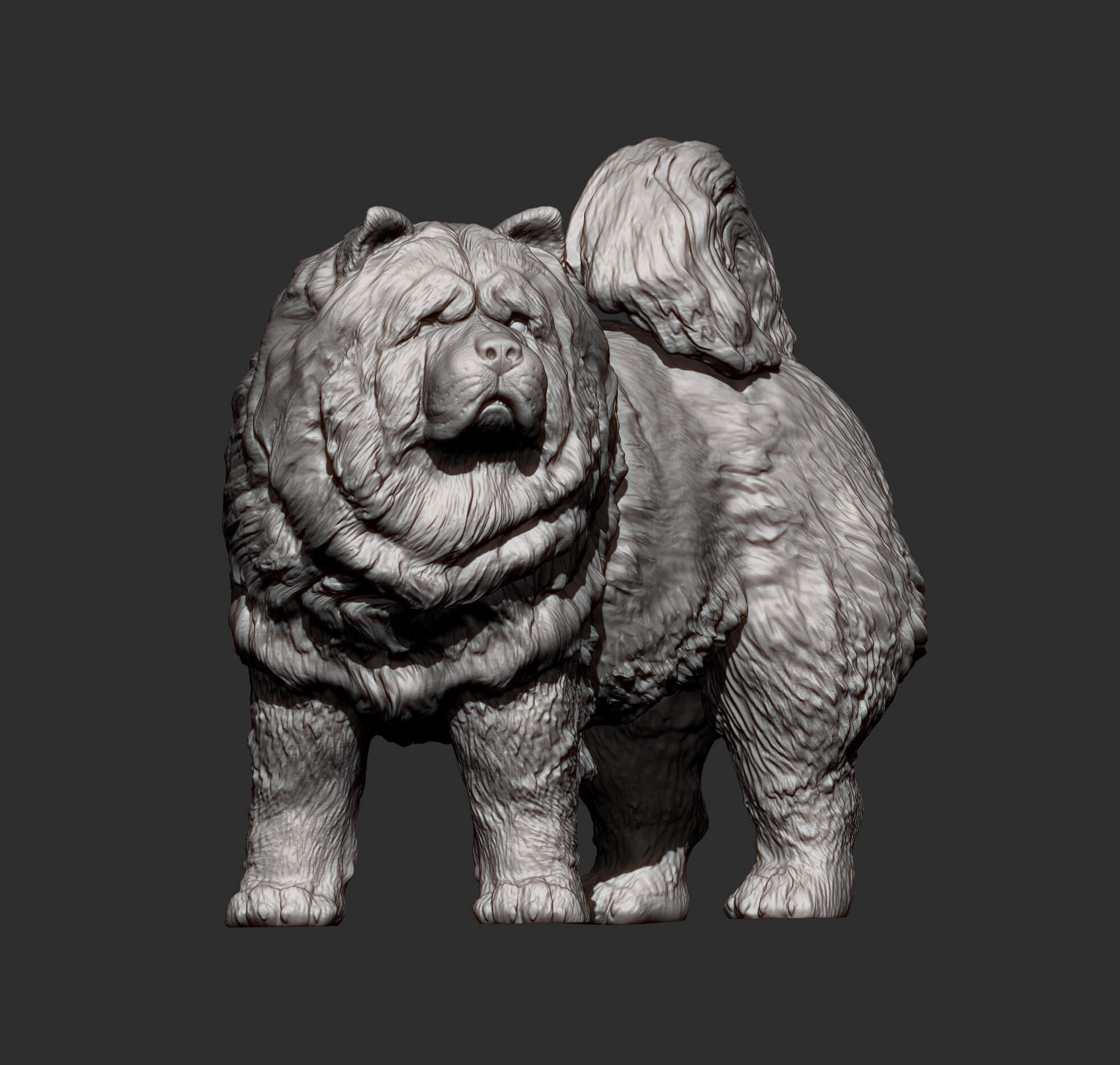 Chow Chow Statue of Dog 3D Print Model by Alexander3dart