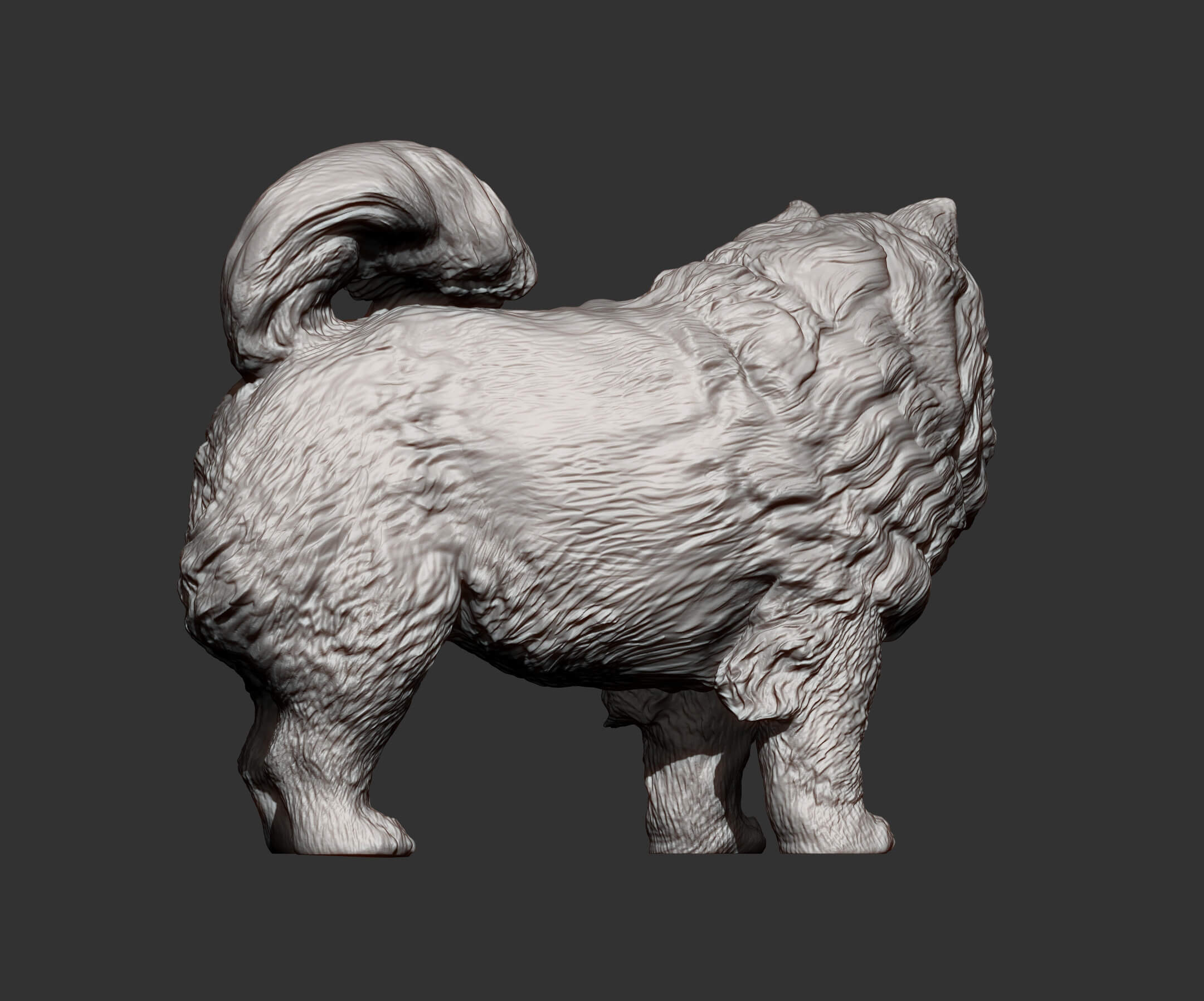 Chow Chow Statue of Dog 3D Print Model by Alexander3dart