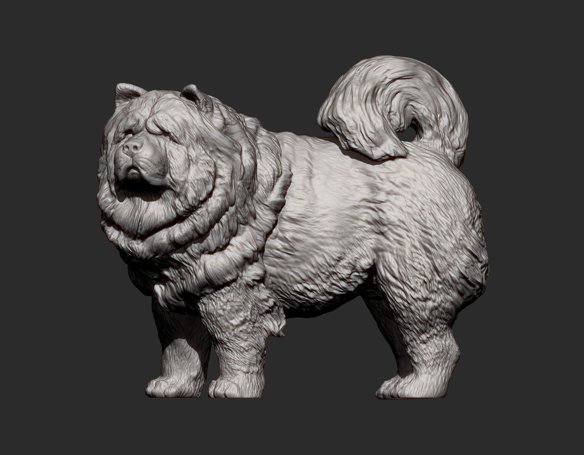 Chow Chow Statue of Dog 3D Print Model by Alexander3dart