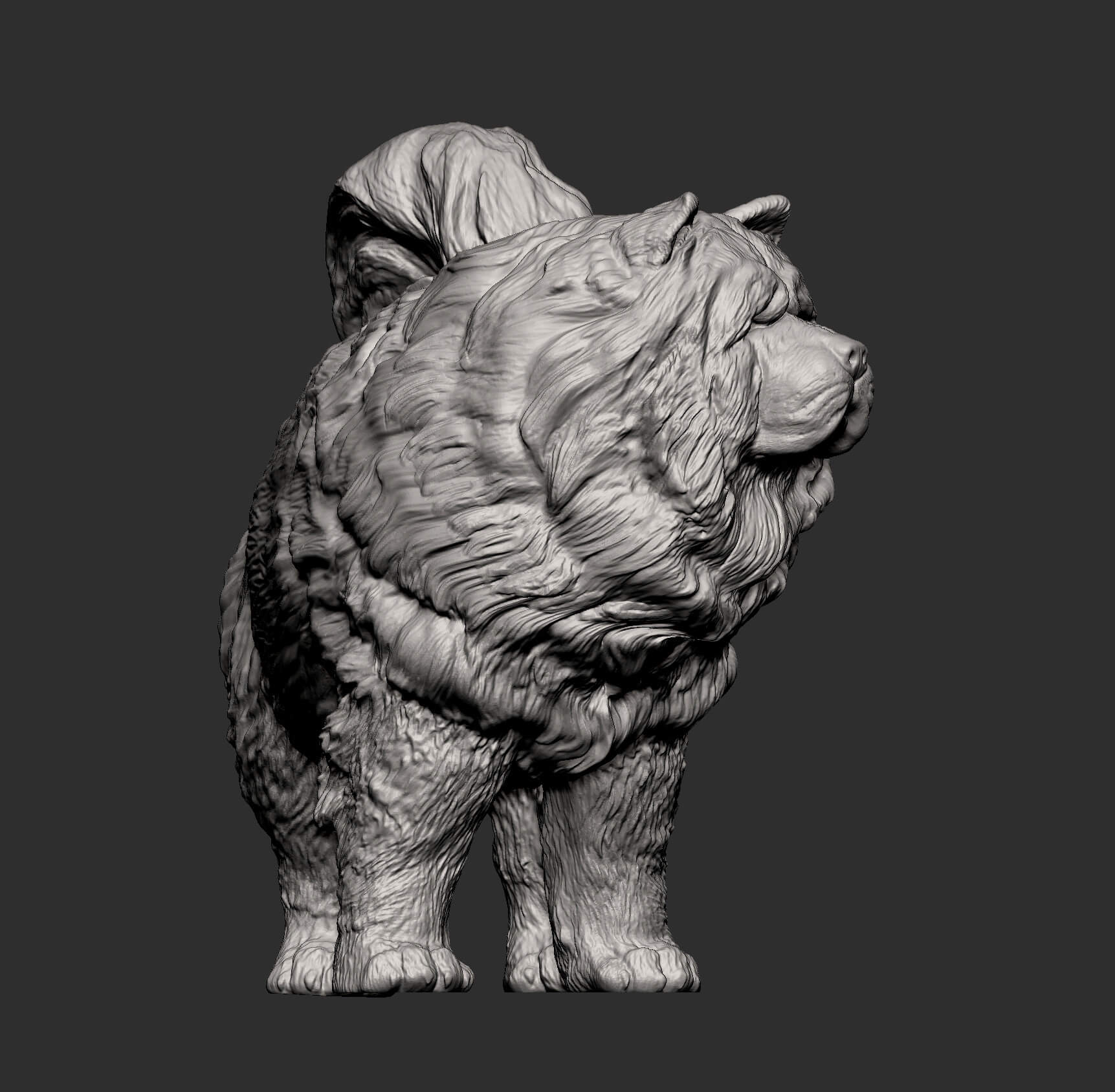 Chow Chow Statue of Dog 3D Print Model by Alexander3dart