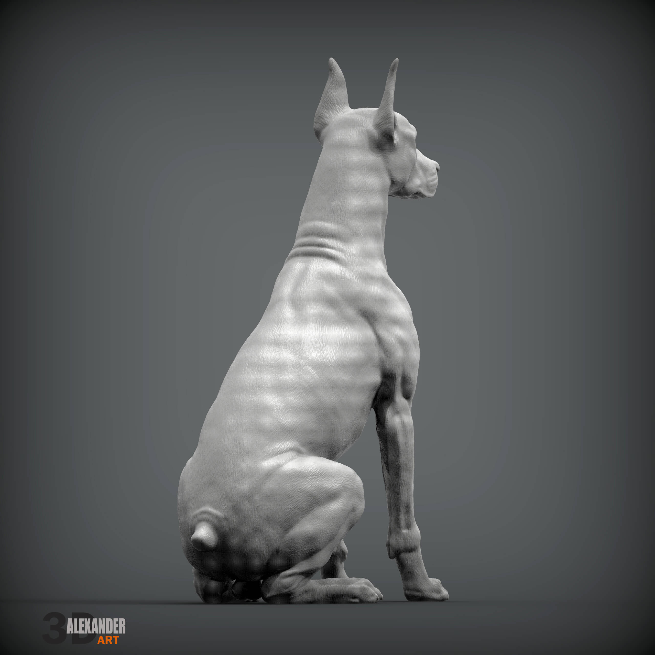 Doberman Is Sitting - 3D Model by Alexander3dart