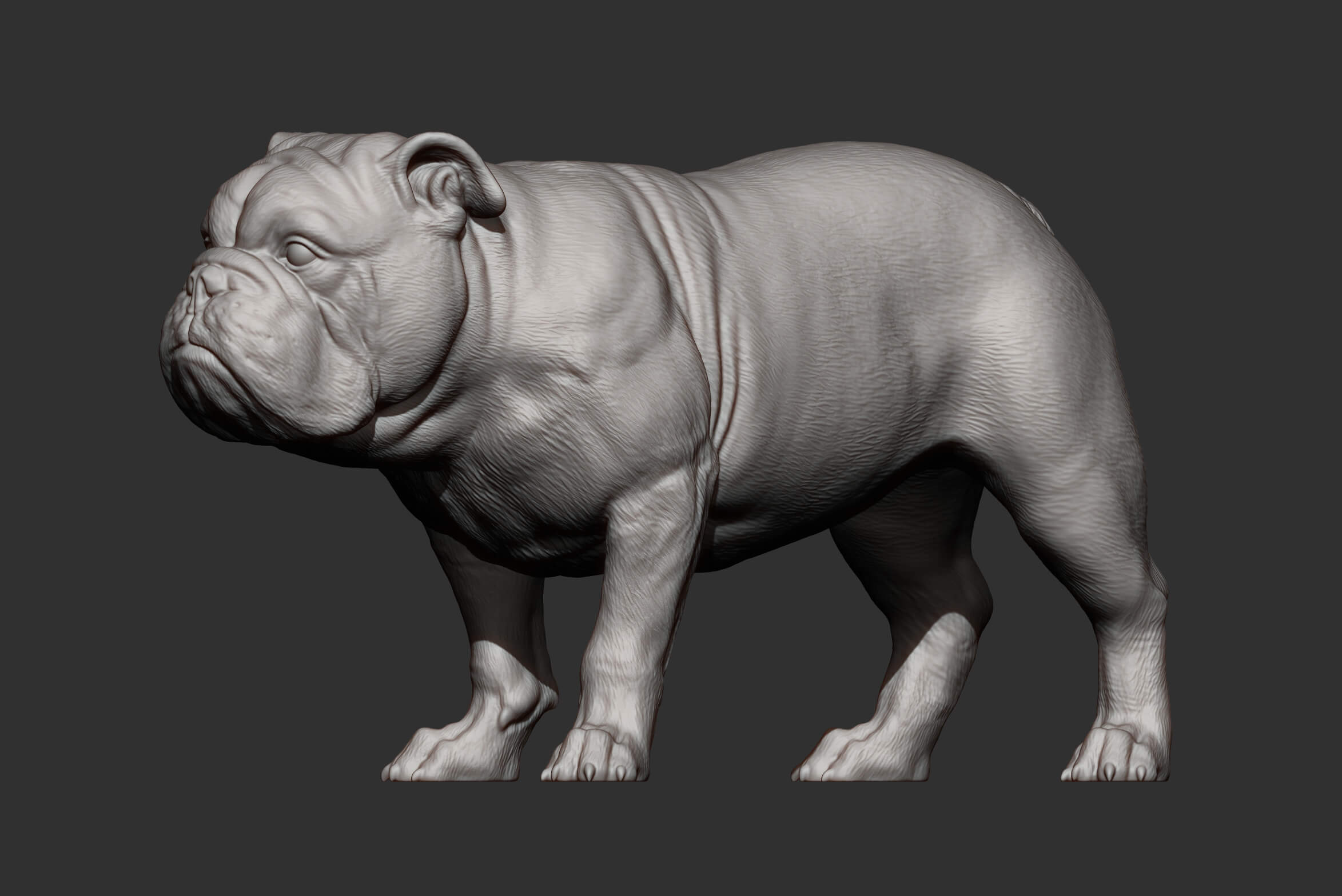 English Bulldog 3D Print Model by Alexander3dart