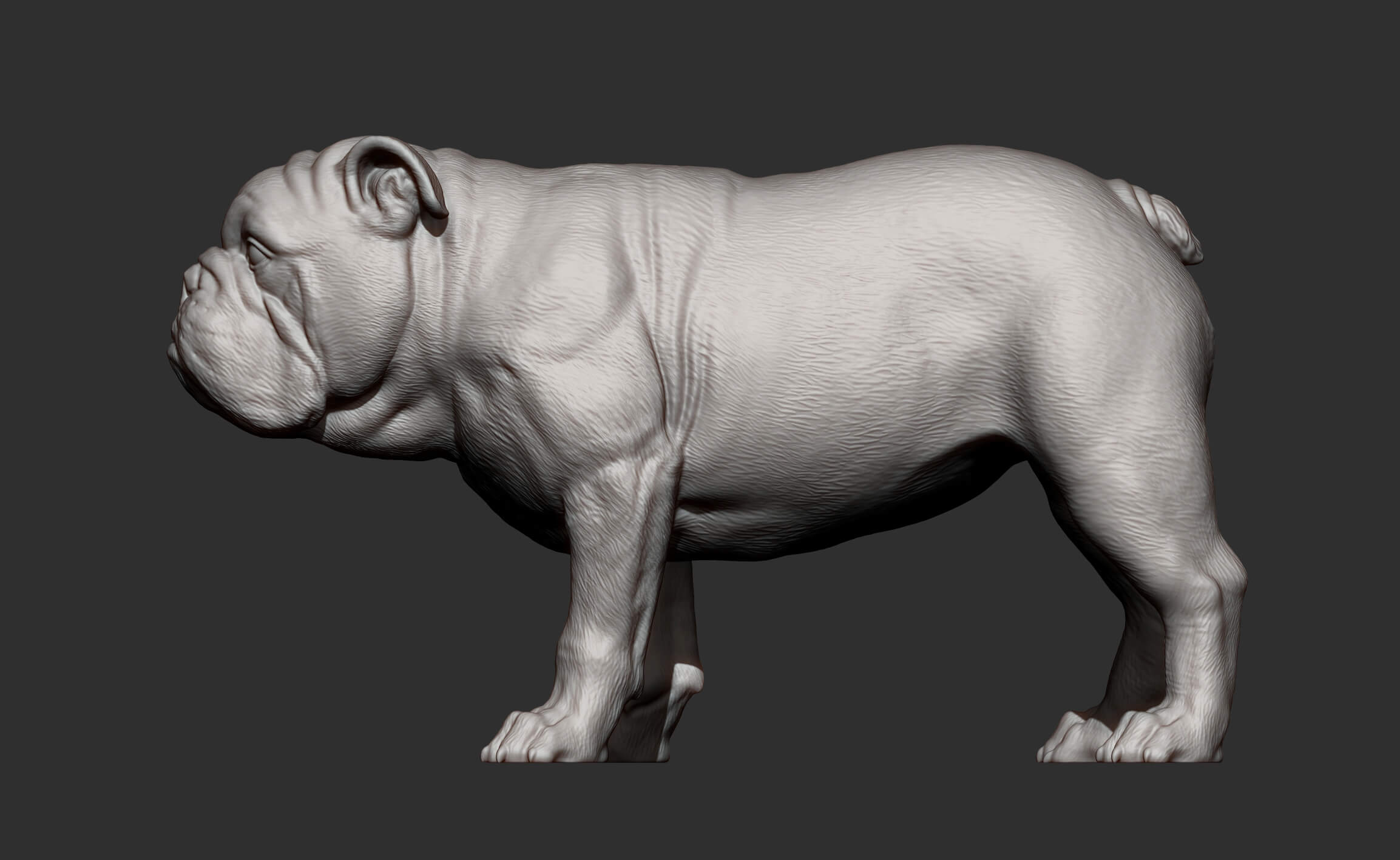 English Bulldog 3D Print Model by Alexander3dart