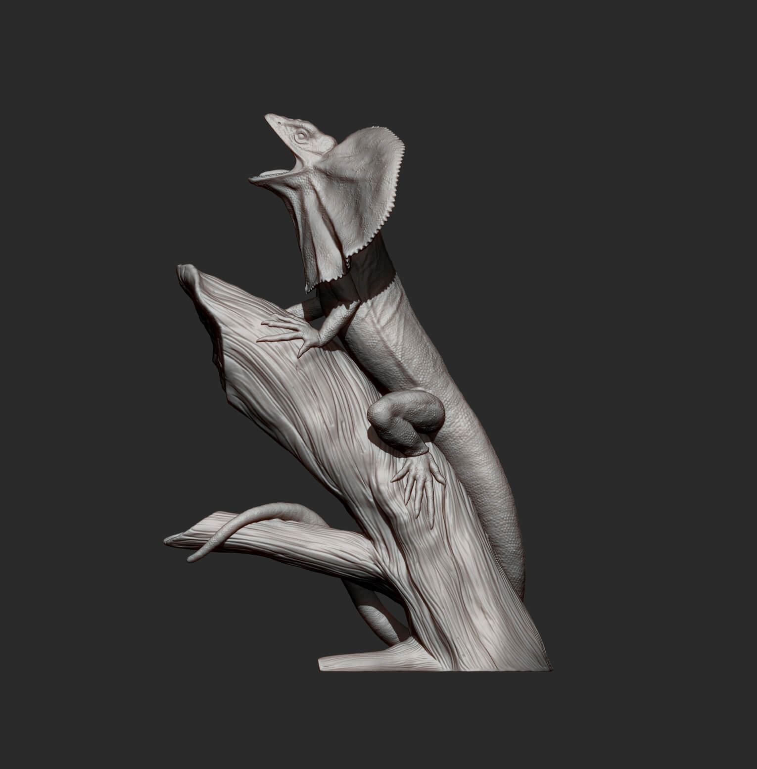 Frilled Lizard - 3D Model by Alexander3dart