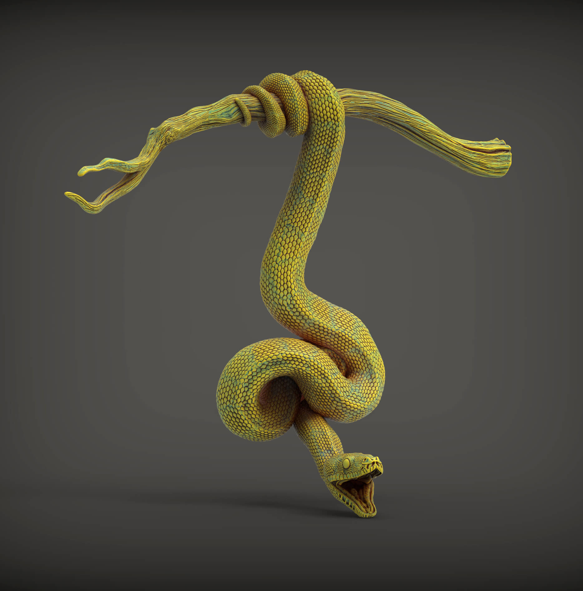 Green tree python sculpture - 3D Model by Alexander3dart