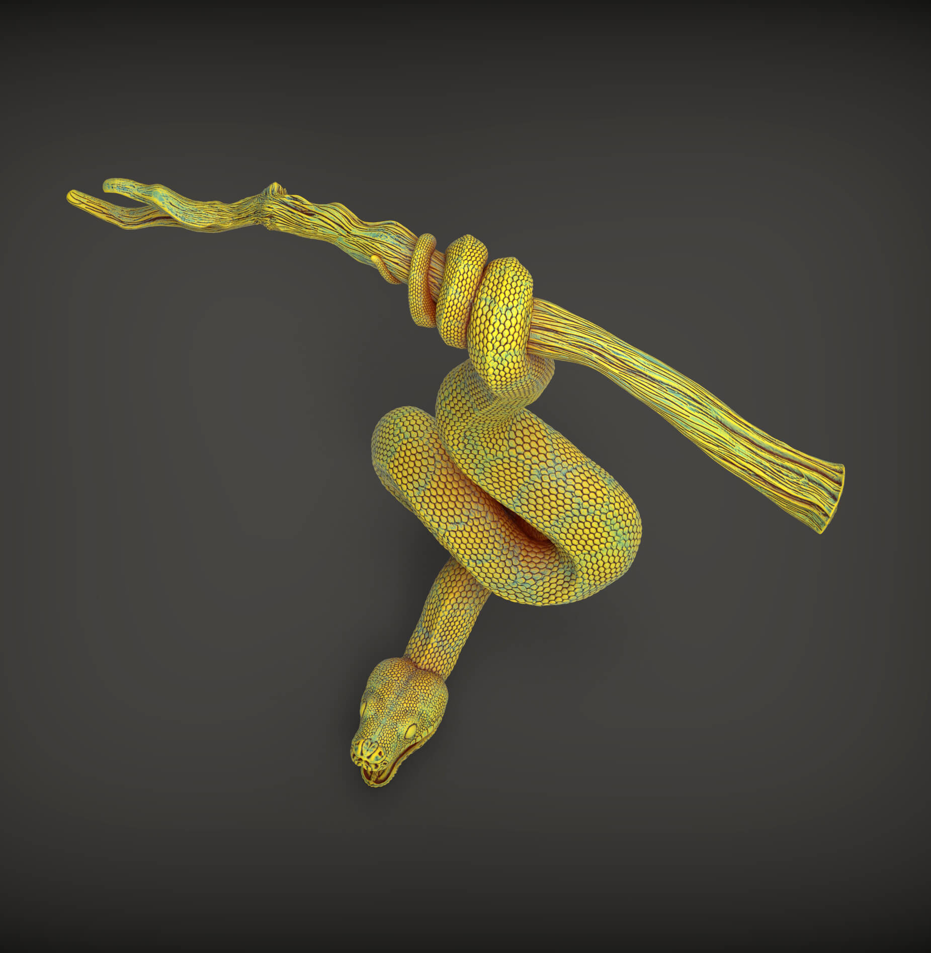 Green tree python sculpture - 3D Model by Alexander3dart