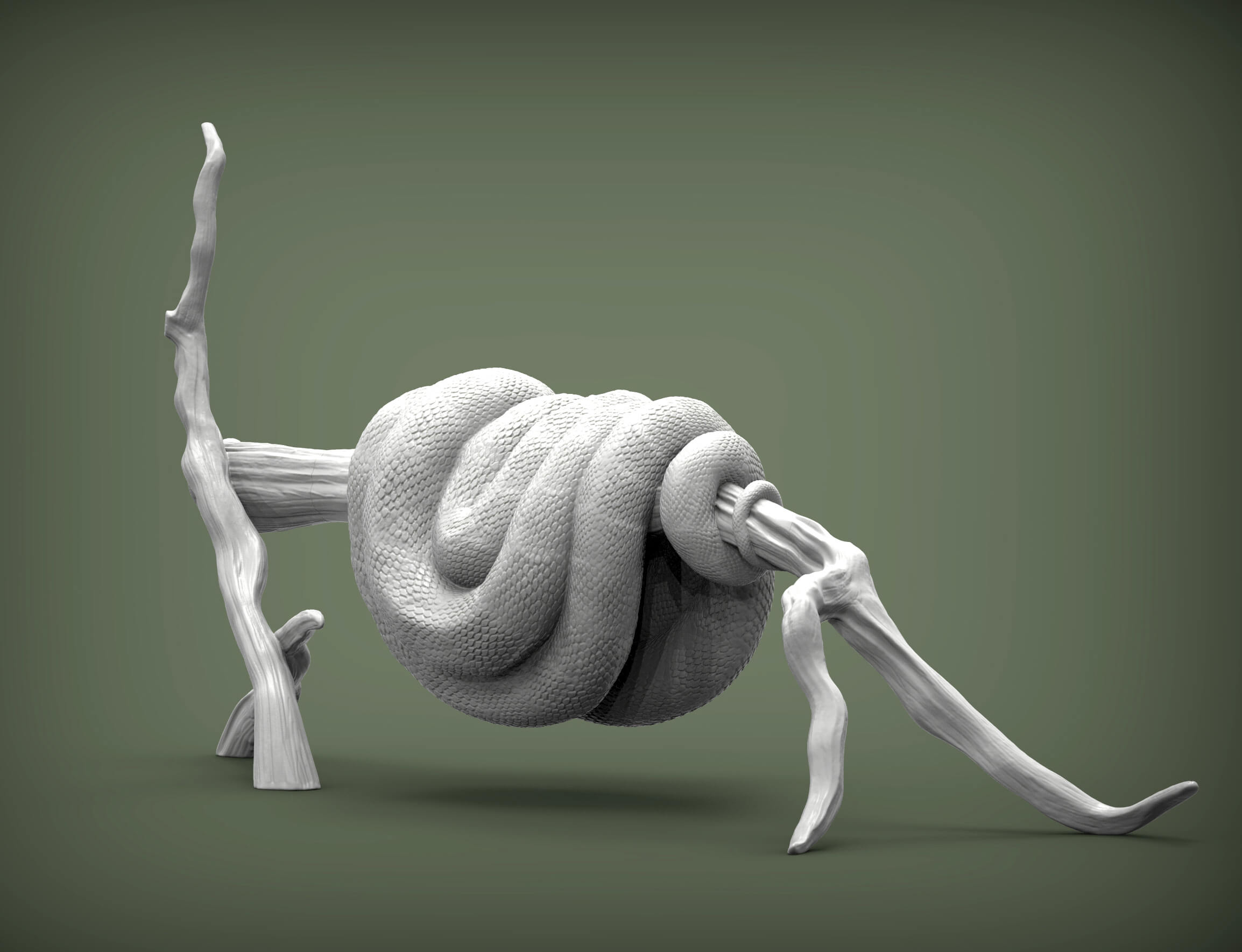 Green Tree Python - 3D Model by Alexander3dart