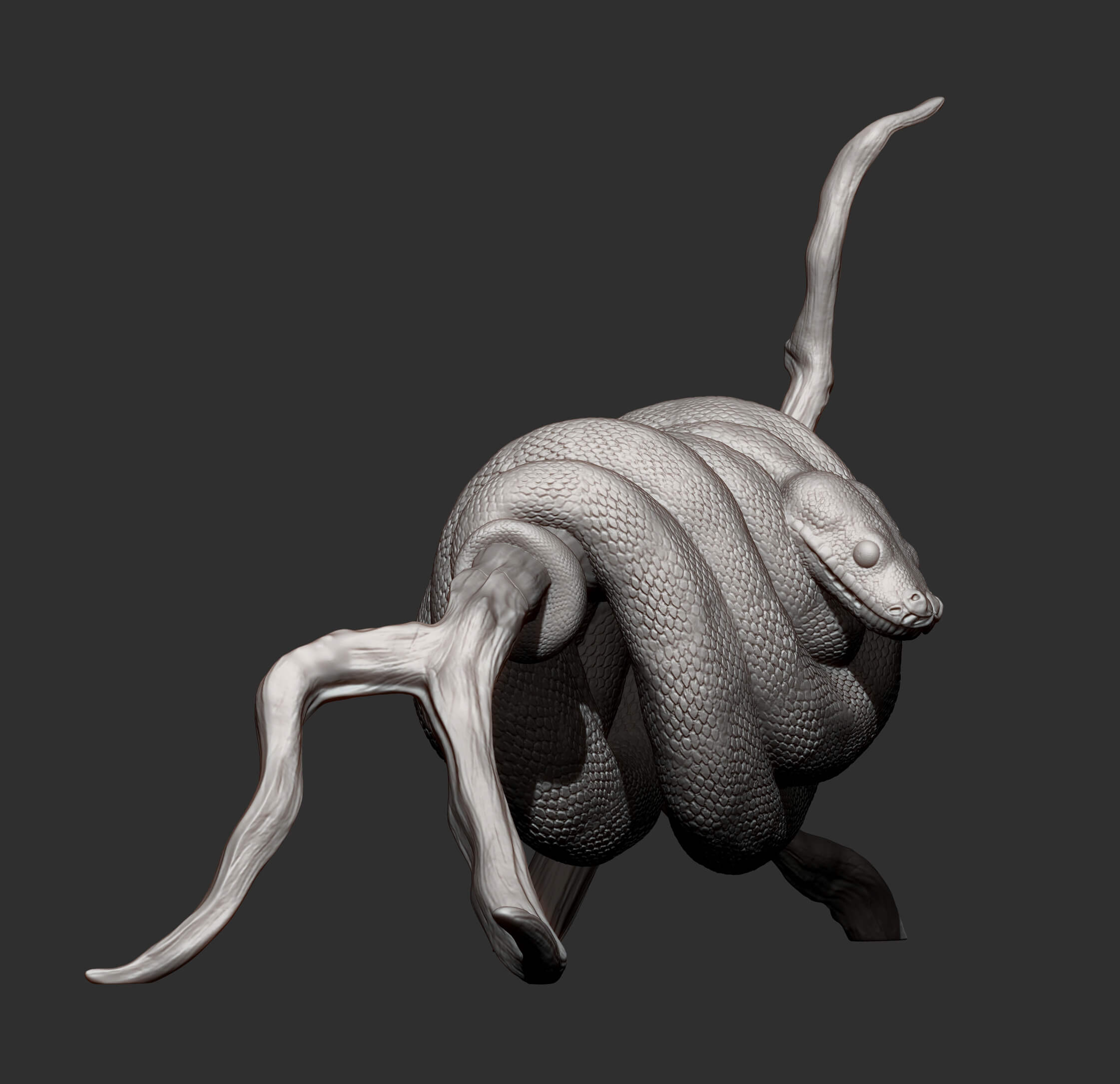 Green Tree Python - 3D Model by Alexander3dart