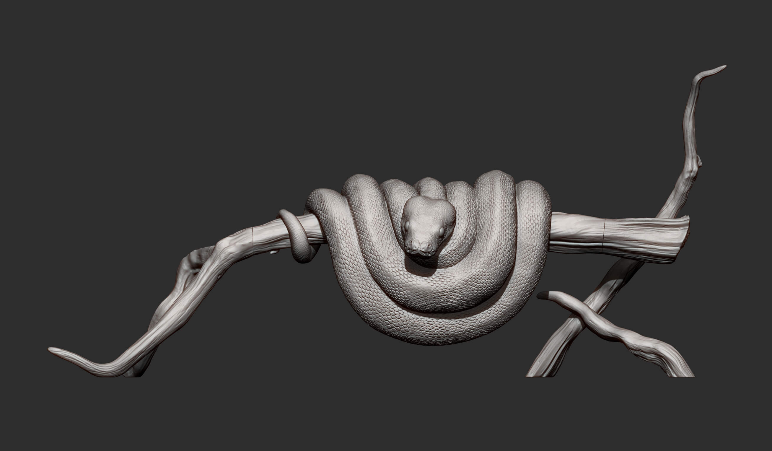 Green Tree Python - 3D Model by Alexander3dart