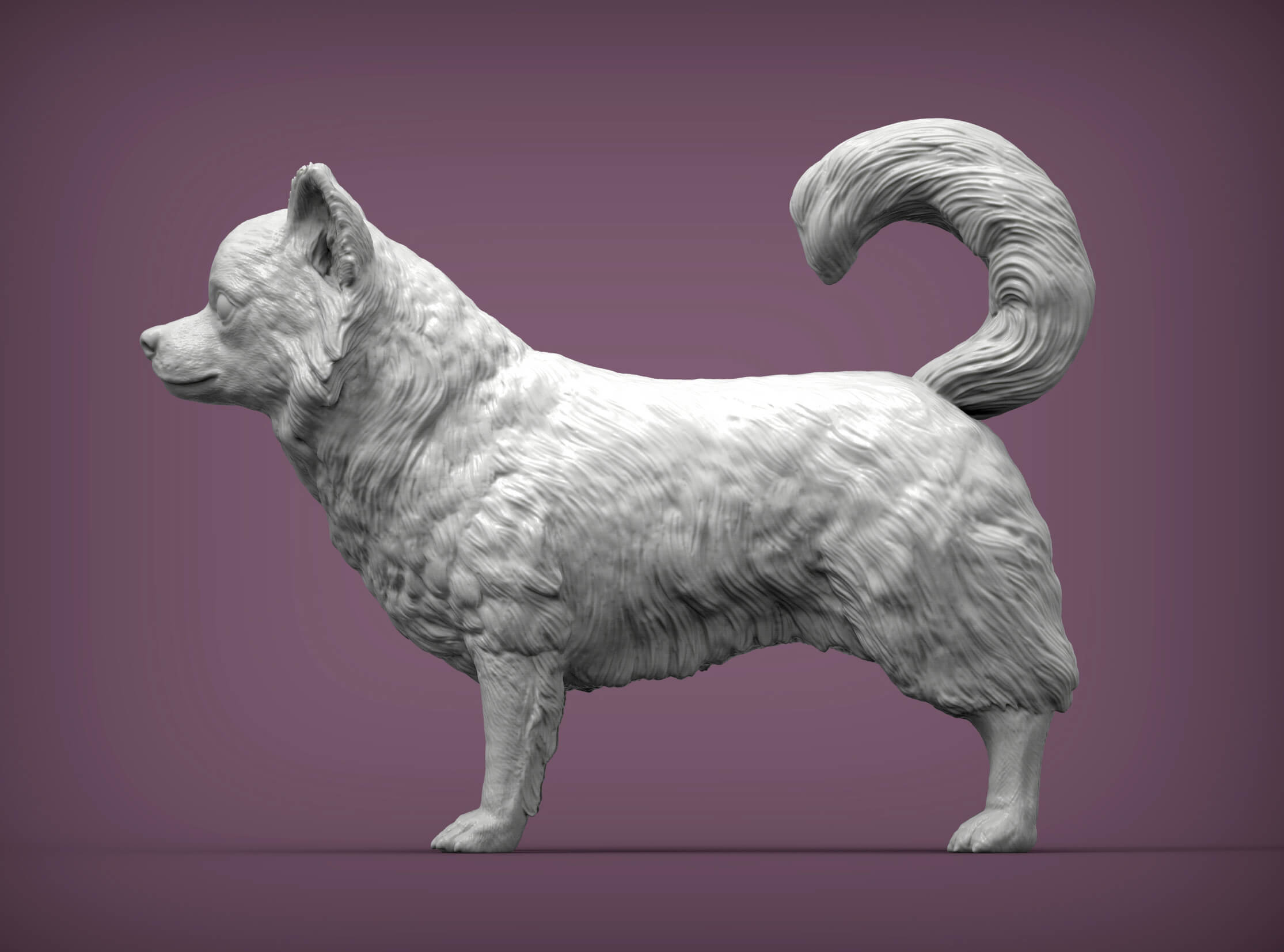 Long Haired Chihuahua 3D Print Model by Alexander3dart