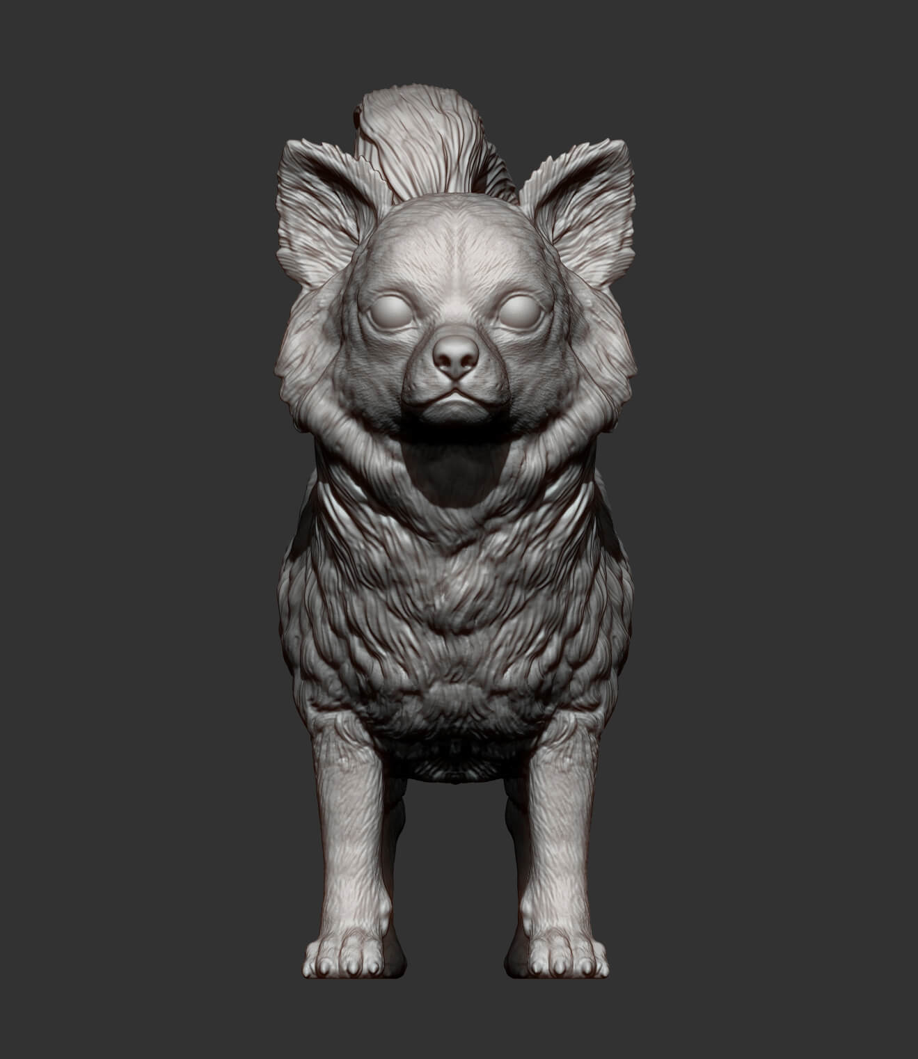 Long Haired Chihuahua 3D Print Model by Alexander3dart