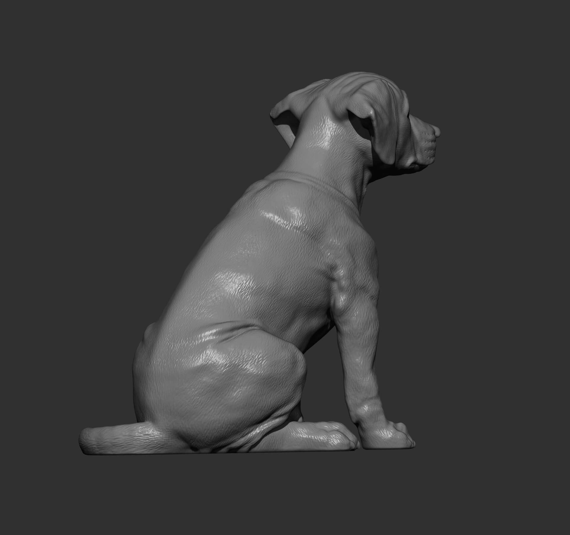 Rhodesian Ridgeback Ridge Rendering Puppy Rhodesian Ridgeback Sitting 3D Print Model by Alexander3dart
