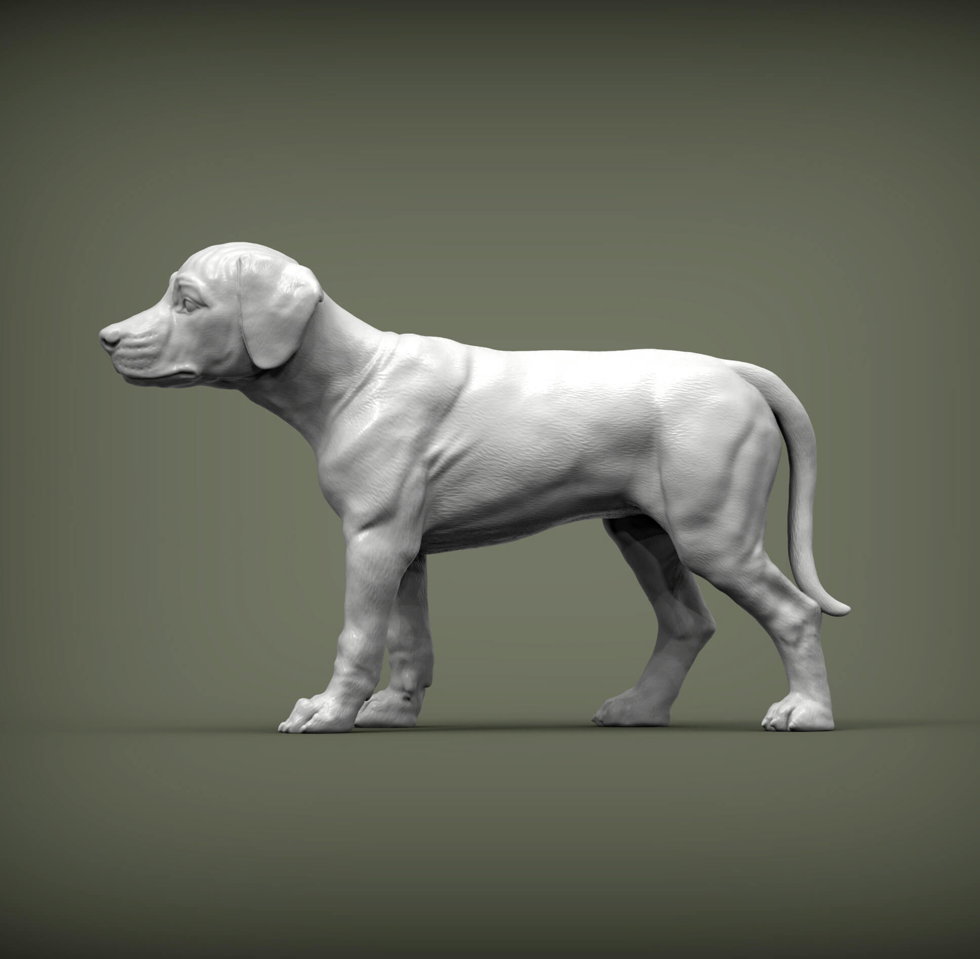 Puppy Rhodesian Ridgeback Standing - 3D Print Model by Alexander3dart
