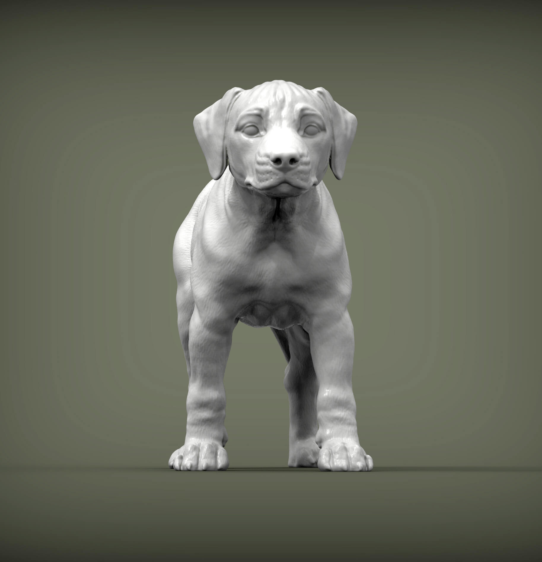Puppy Rhodesian Ridgeback Standing - 3D Print Model by Alexander3dart