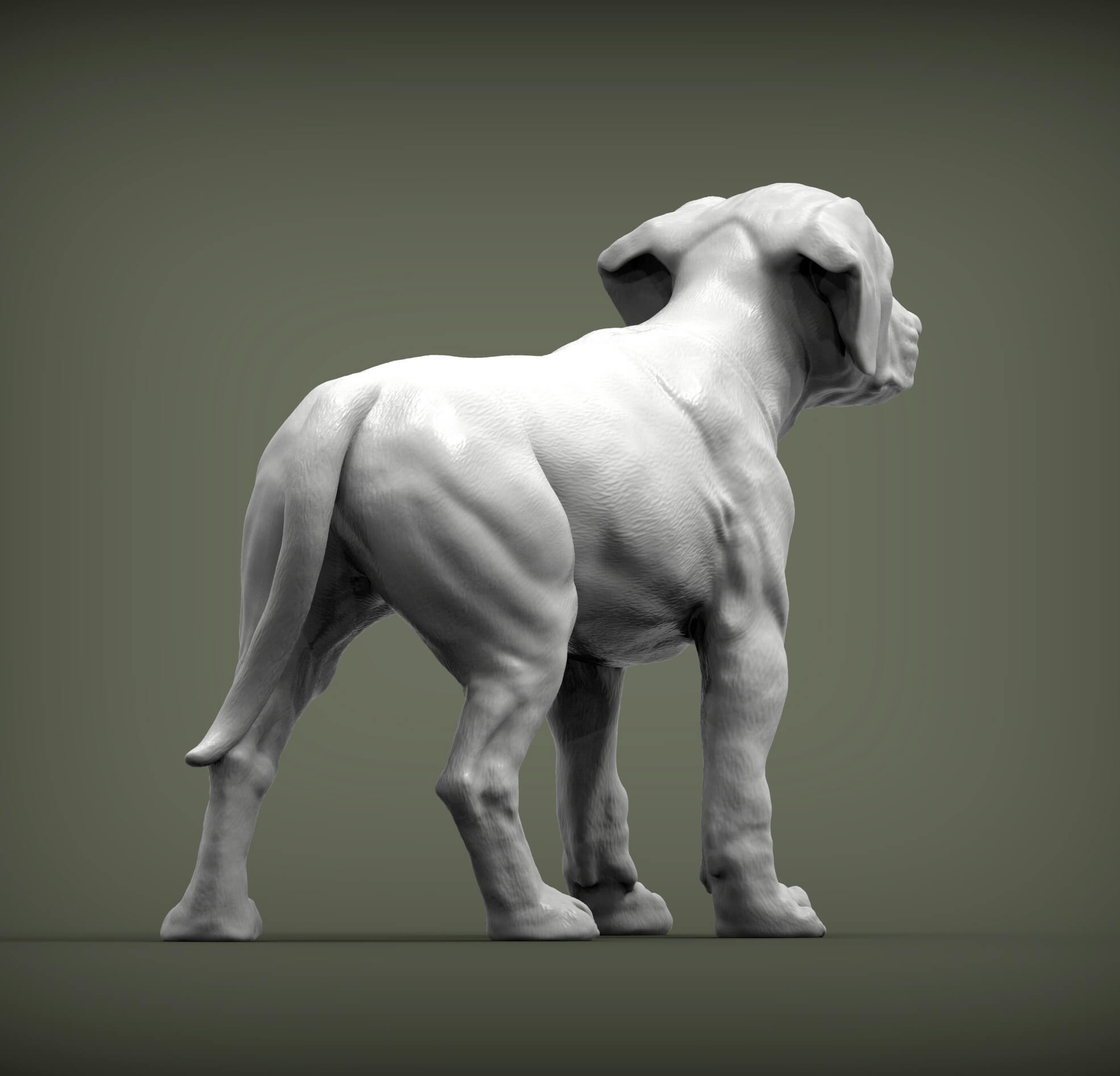 Puppy Rhodesian Ridgeback Standing - 3D Print Model by Alexander3dart