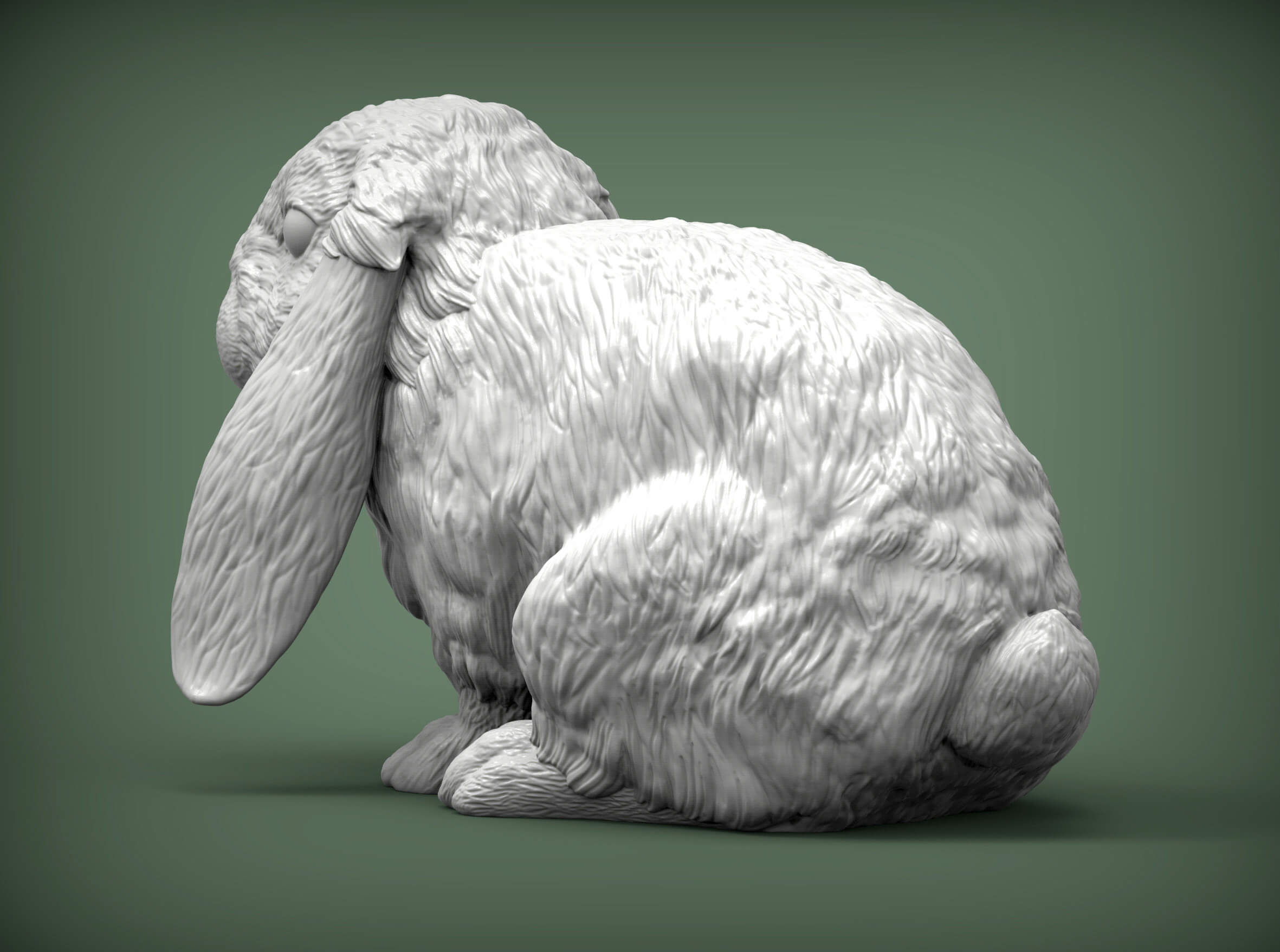 Rabbit American Fuzzy Fop 3D Print Model by Alexander3dart