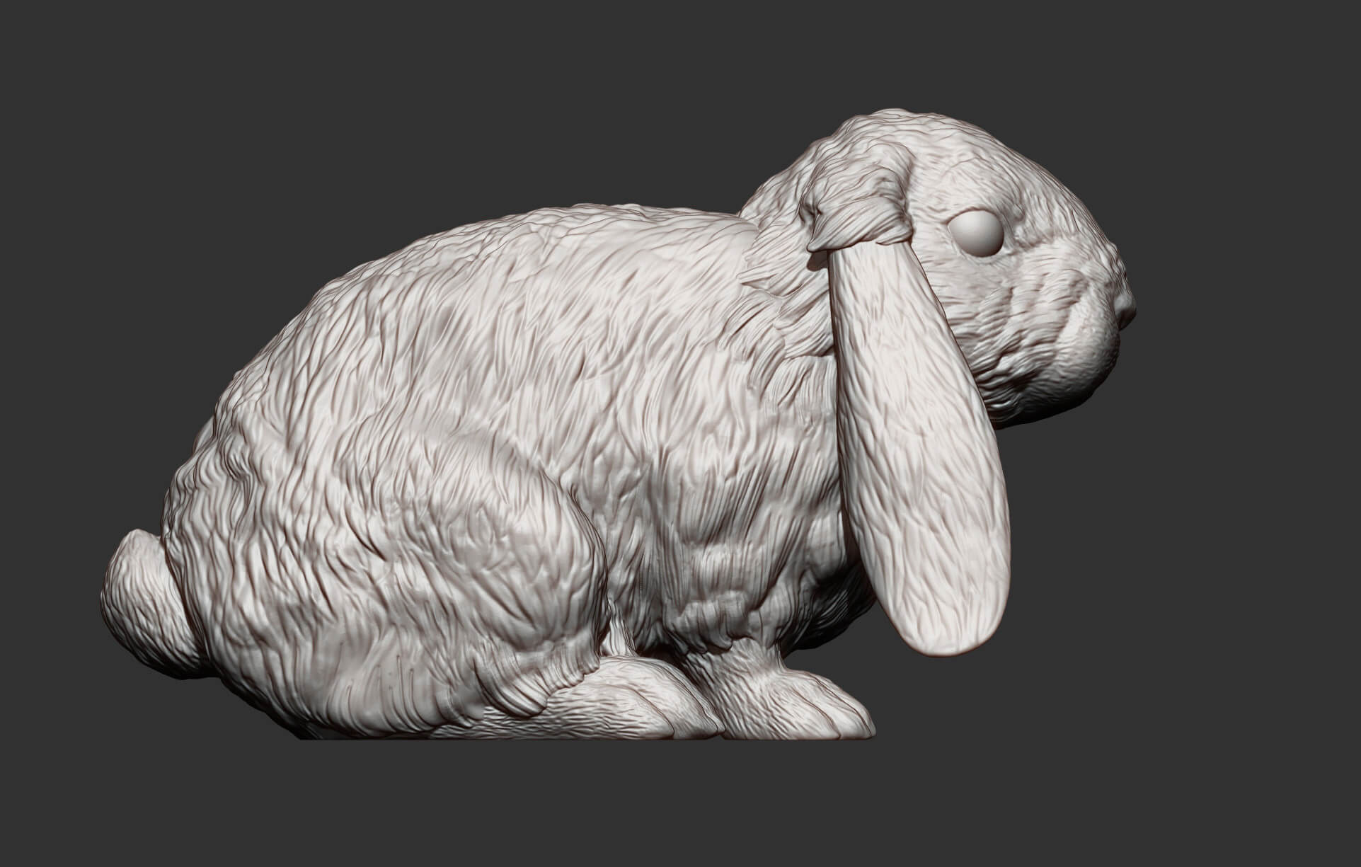 Rabbit American Fuzzy Fop 3D Print Model by Alexander3dart
