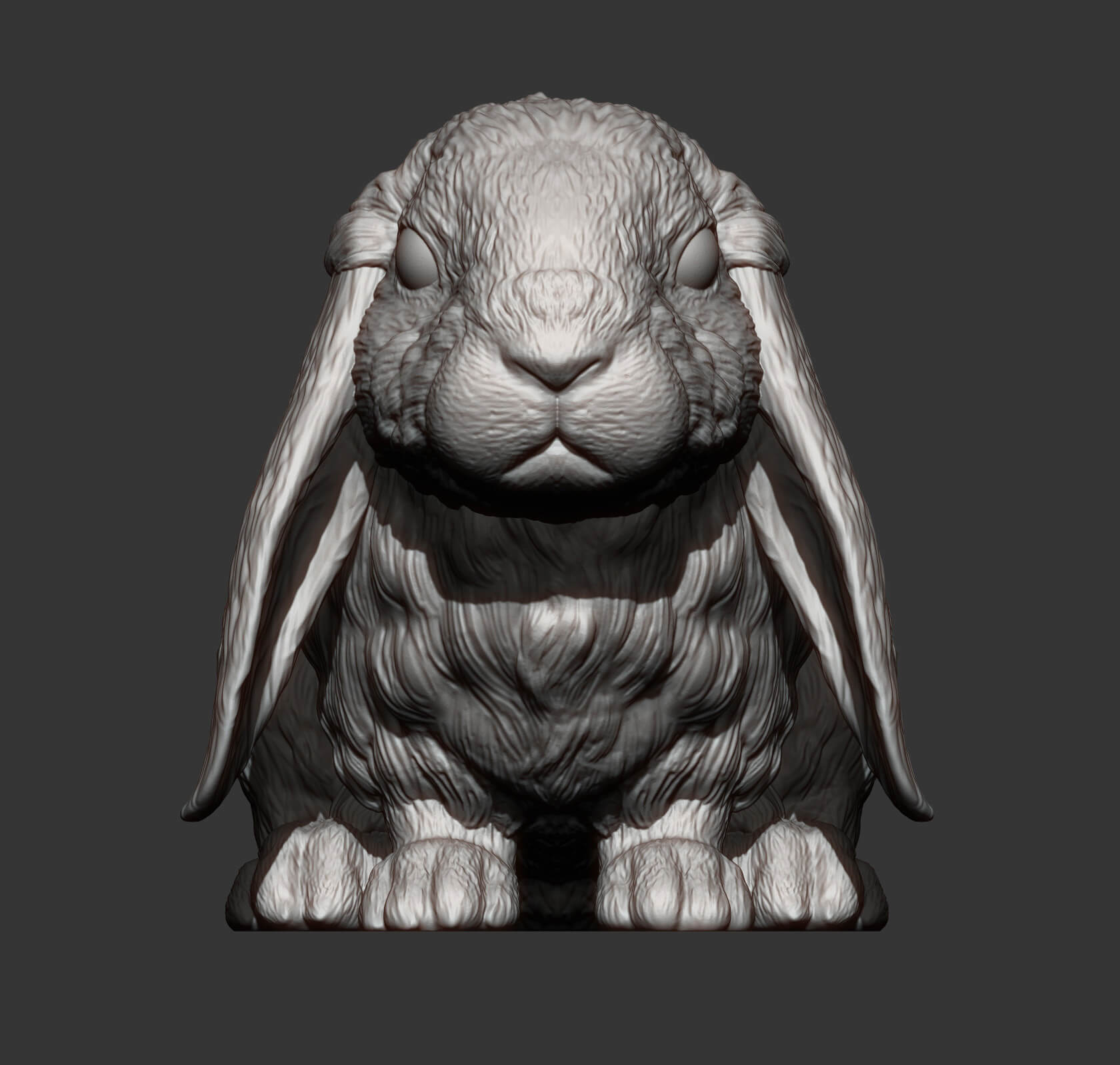 Rabbit American Fuzzy Fop 3D Print Model by Alexander3dart