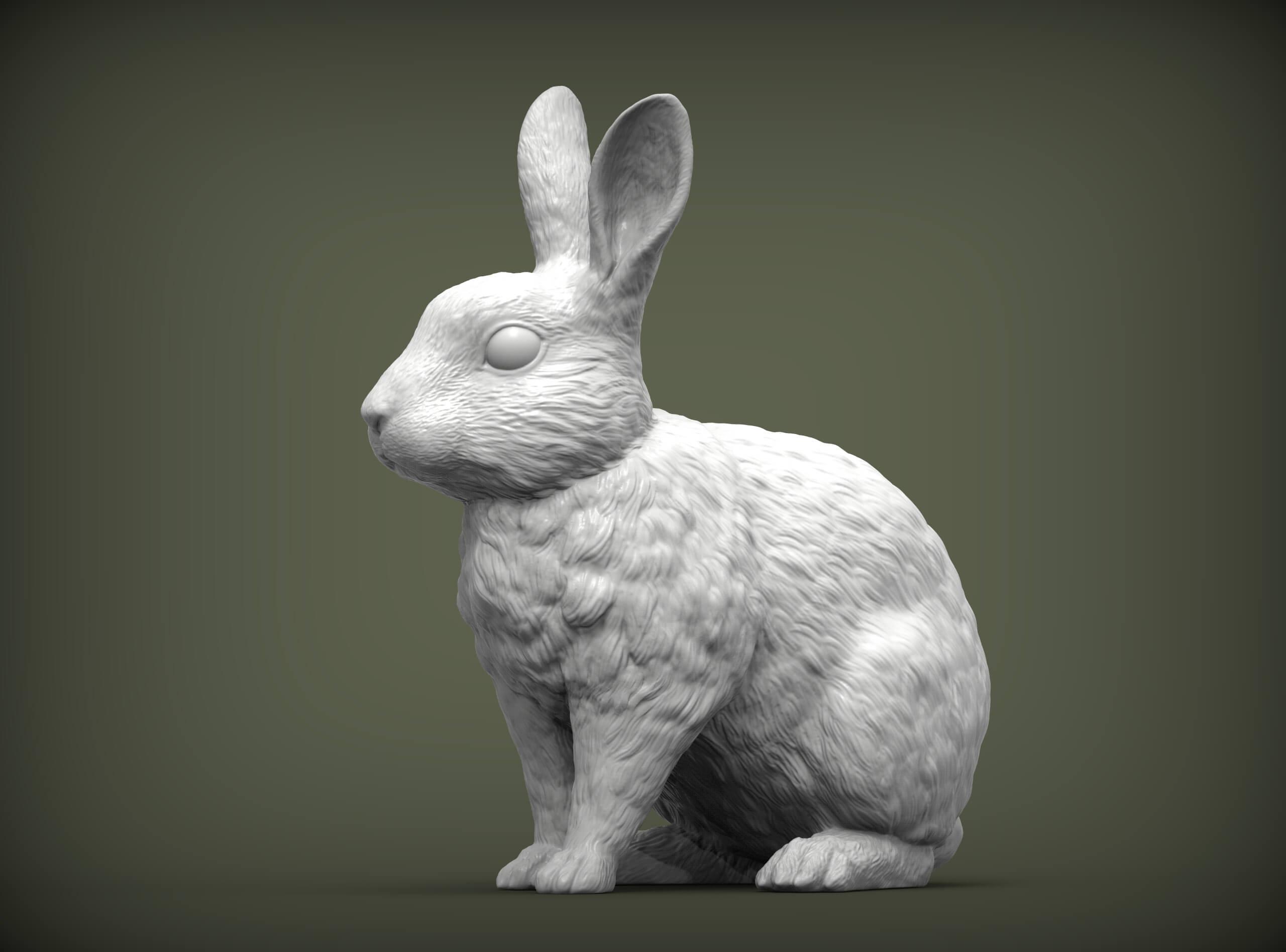 Rabbit Rex Agouti 3D Print Model by Alexander3dart