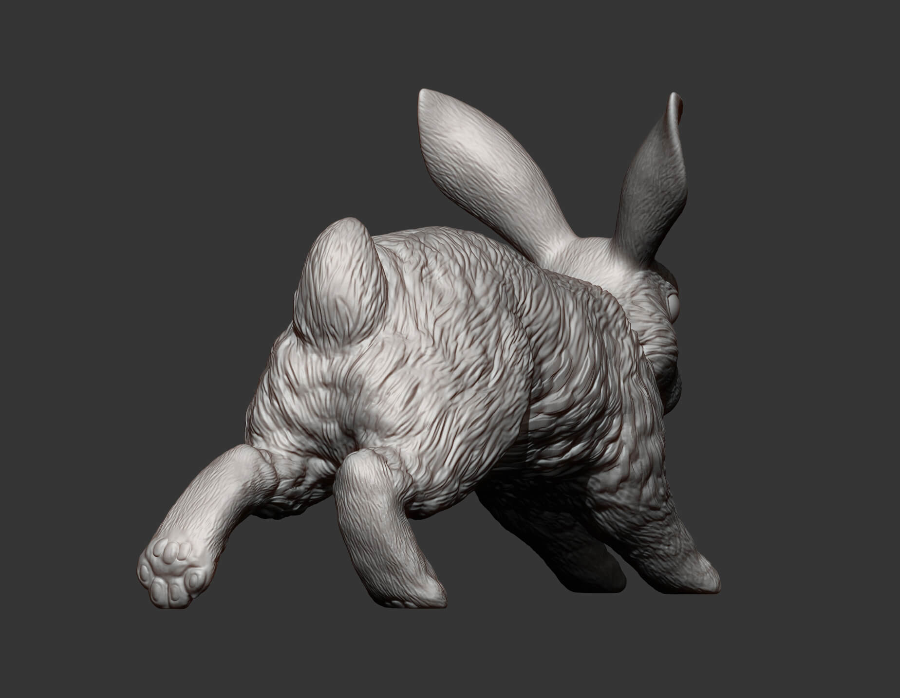 Rabbit Running - 3D Model by Alexander3dart