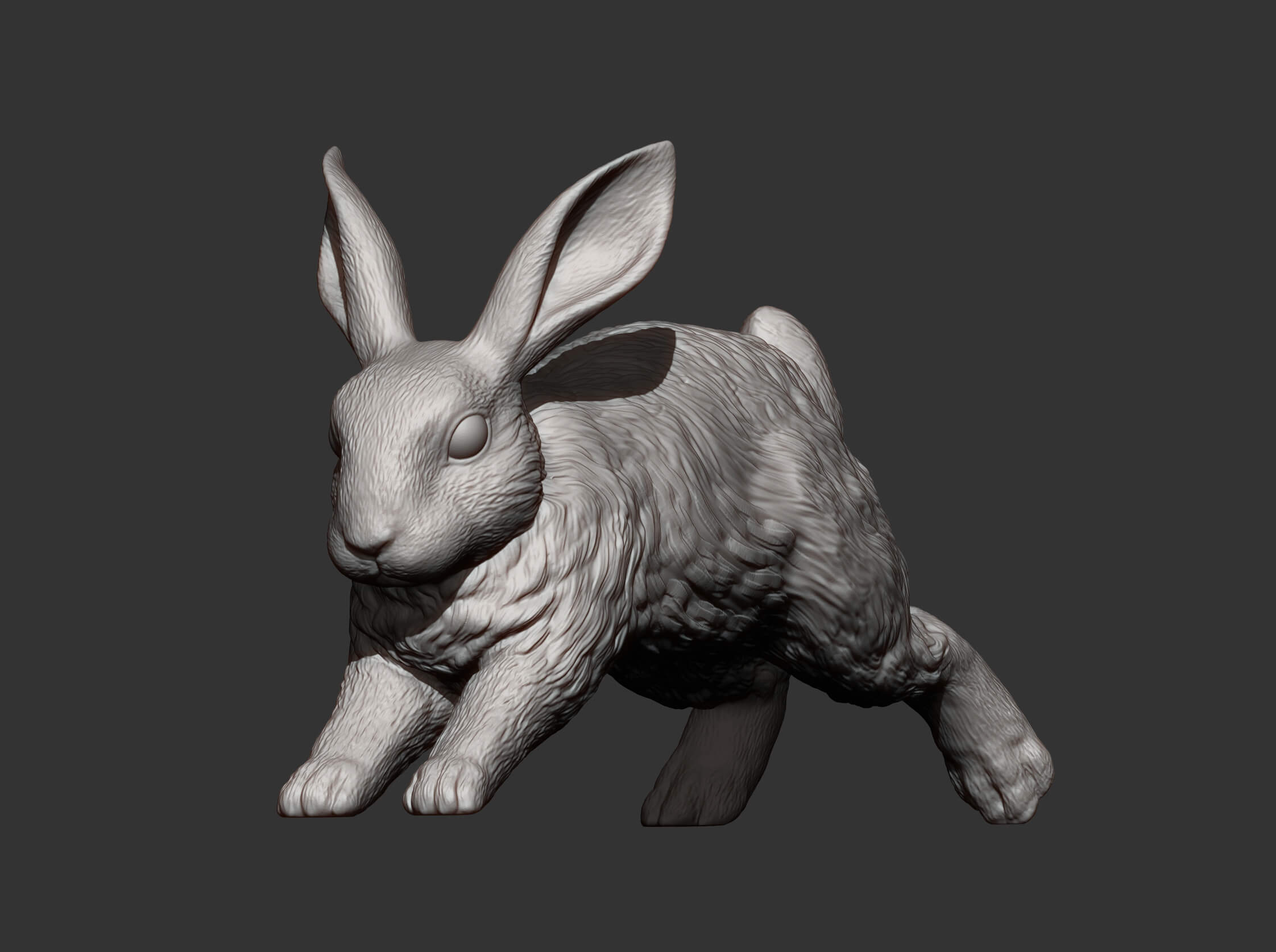 Rabbit Running - 3D Model by Alexander3dart