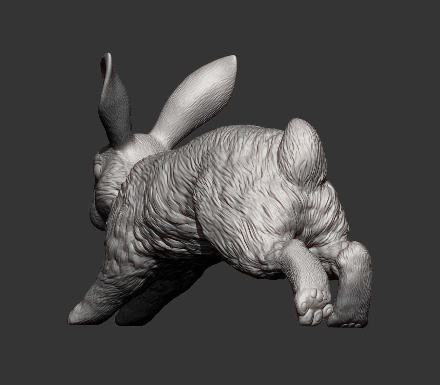 Rabbit Running - 3D Model by Alexander3dart