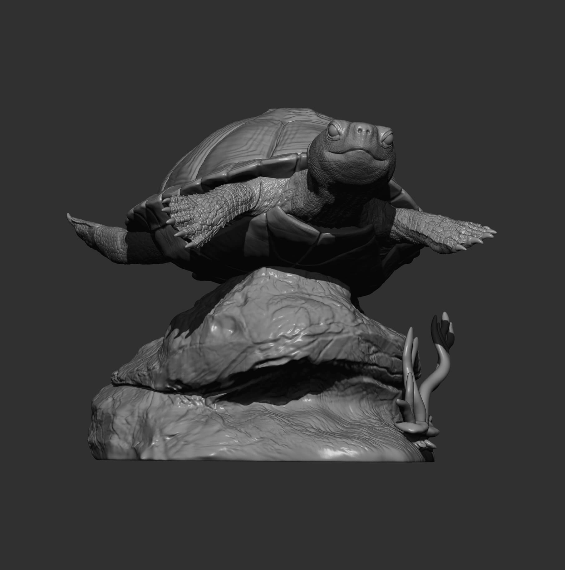 Red-Eared Slider Turtle Swimming 3D Model by Alexander3dart