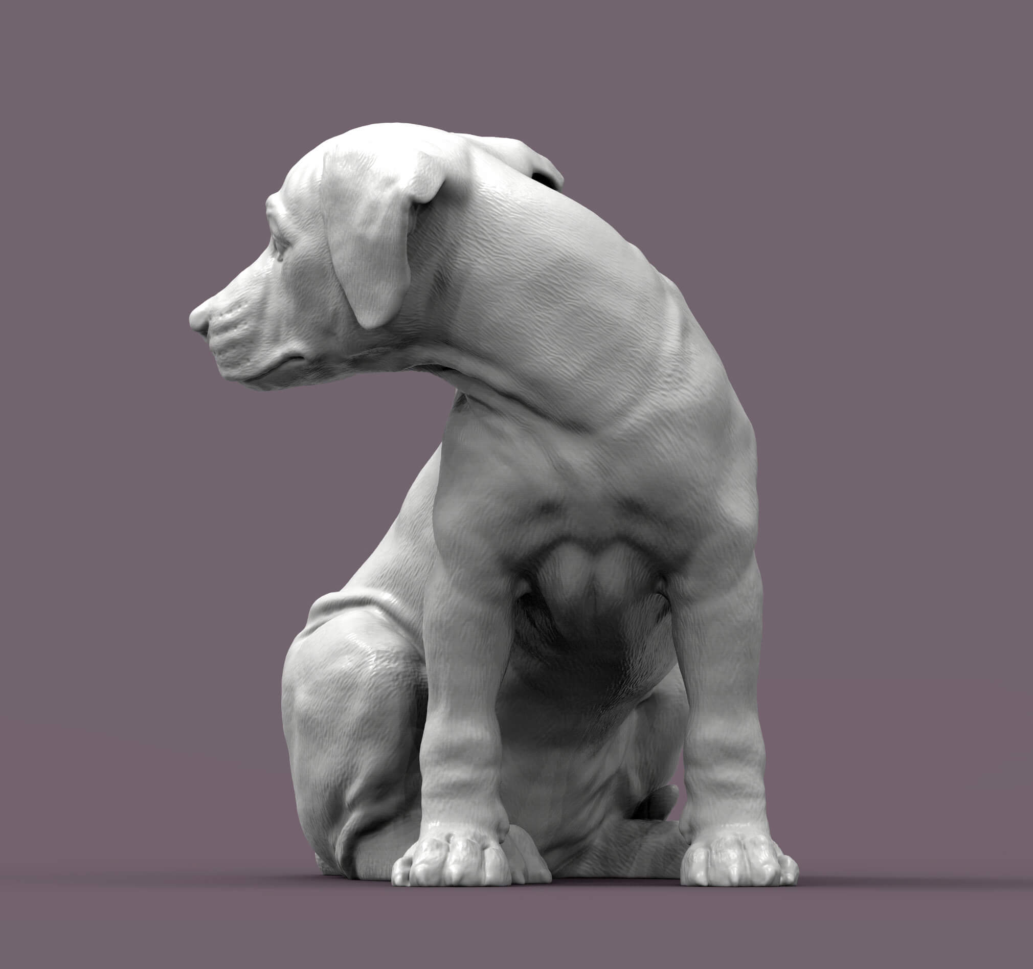 Rhodesian Ridgeback Puppy Looking Back 3D Print Model by Alexander3dart