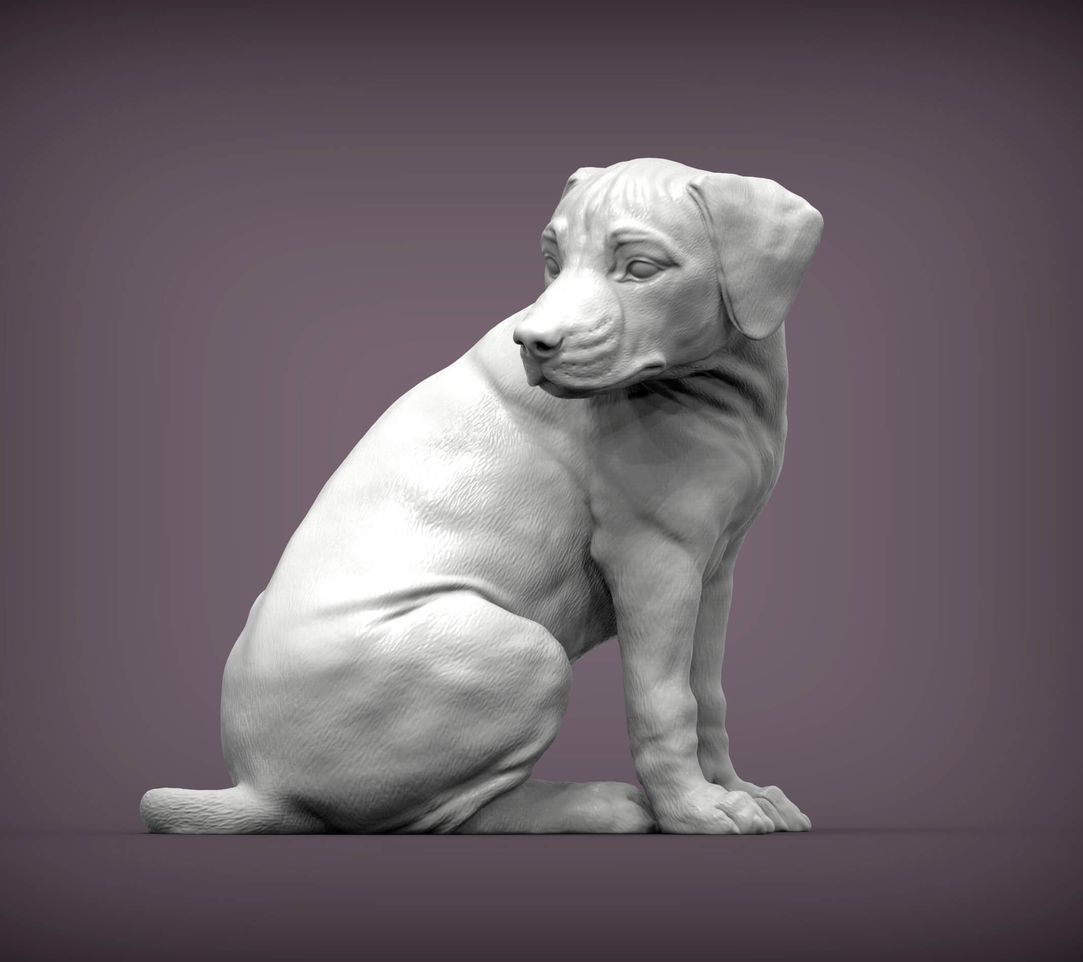 Rhodesian Ridgeback Ridge Rendering Rhodesian Ridgeback Puppy Looking Back 3D Print Model by Alexander3dart