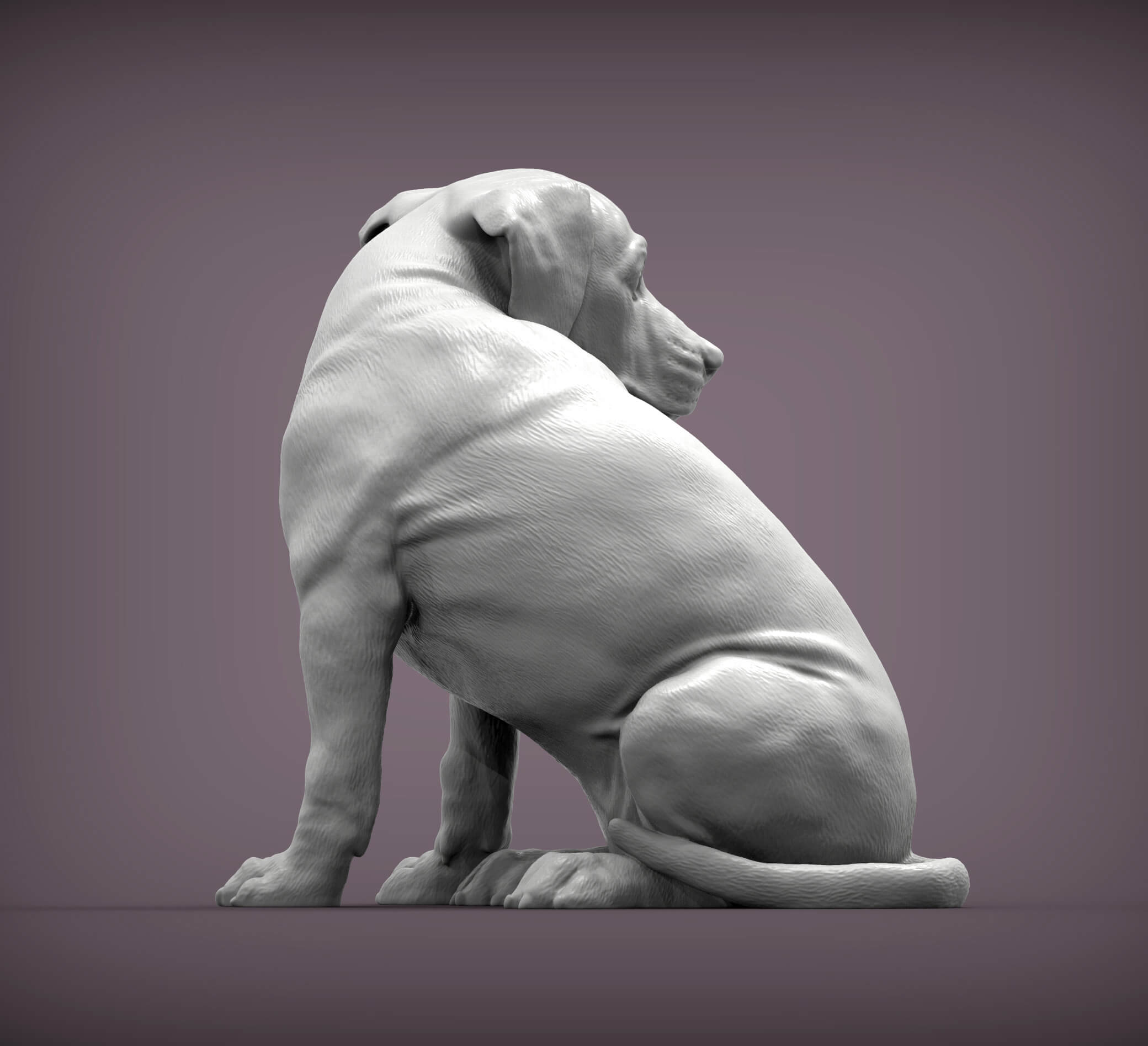 Rhodesian Ridgeback Puppy Looking Back 3D Print Model by Alexander3dart