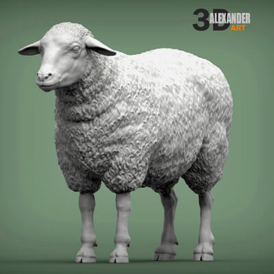 Sheep 3D Print Model by Alexander3dart