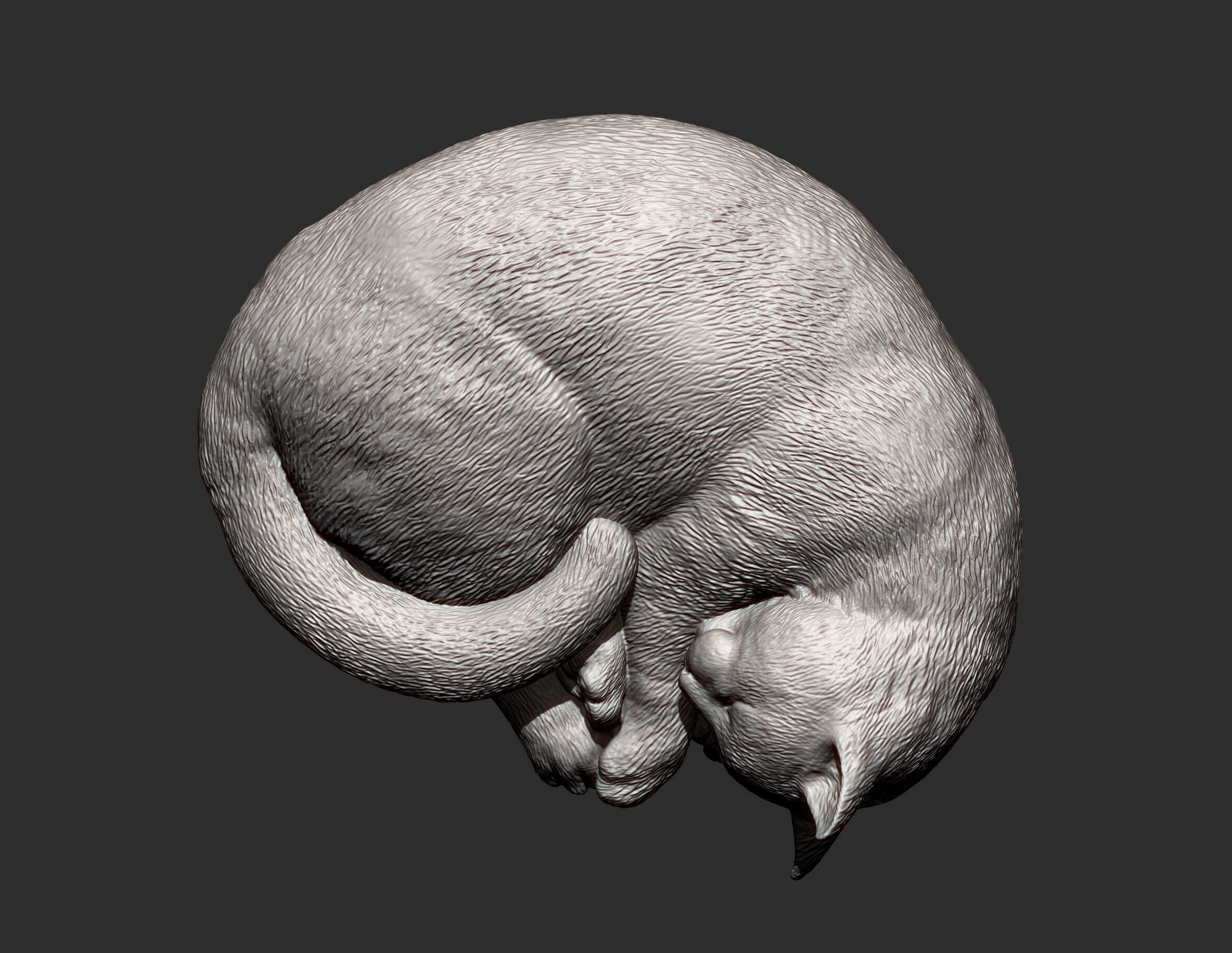 Sleeping Cat - 3D Model by Alexander3dart