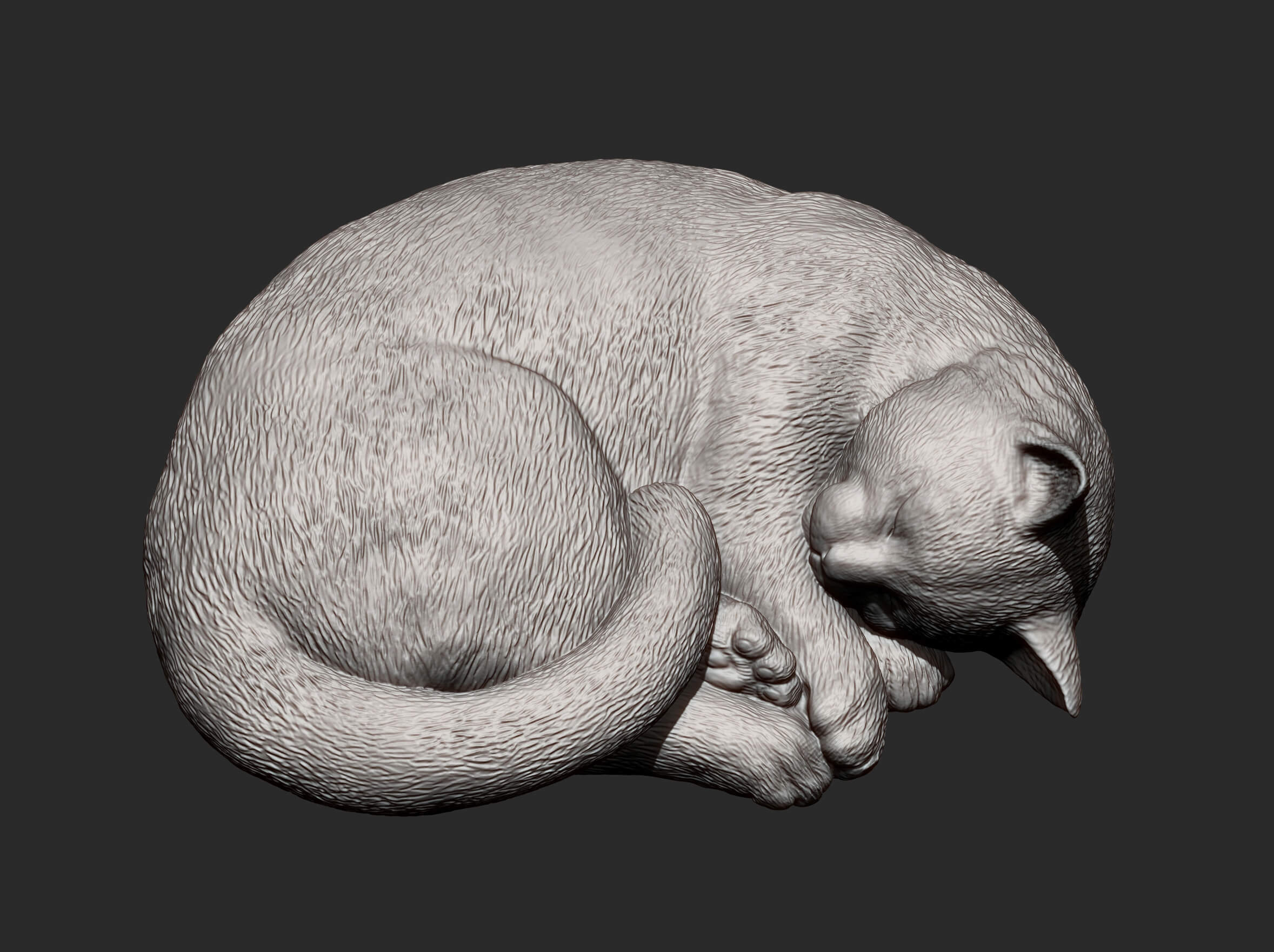 Sleeping Cat - 3D Model by Alexander3dart