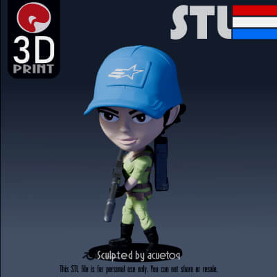 Lady Jaye Covert Operations
