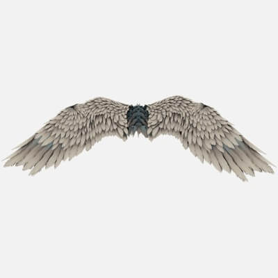 Angel Wings