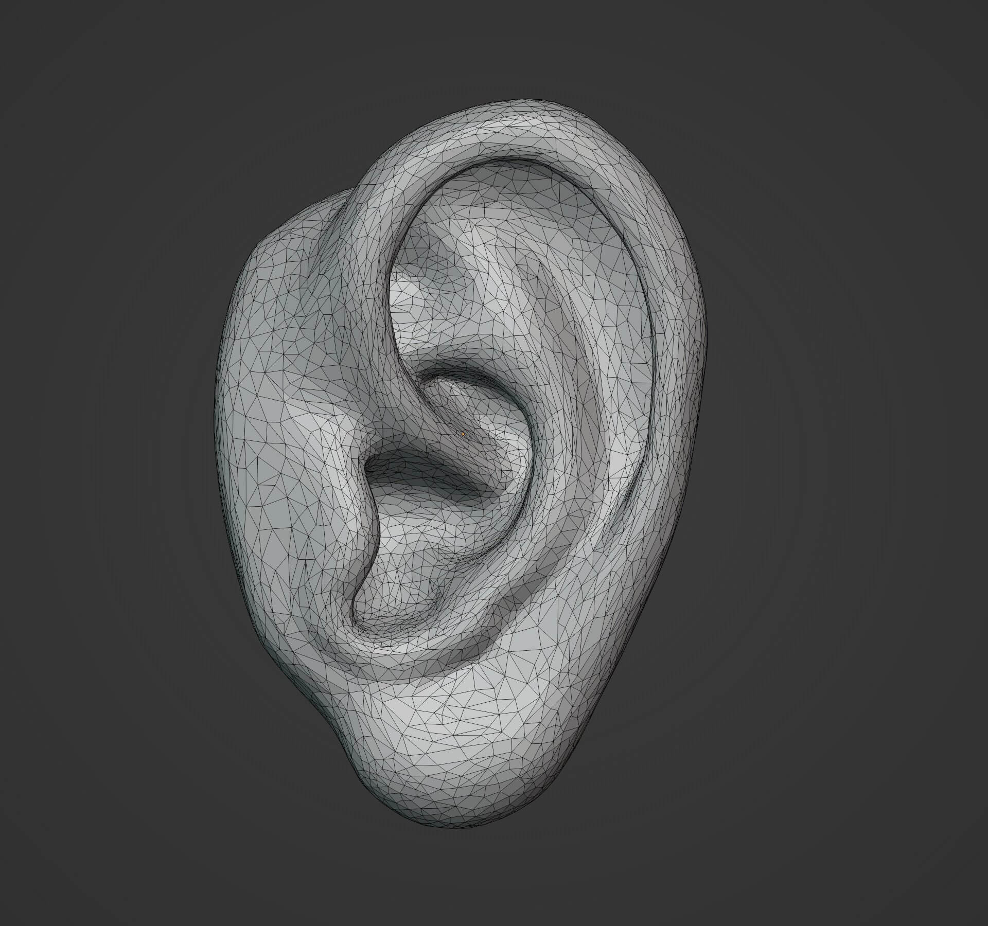 Human Ear 3D Print Model by alexkovalev