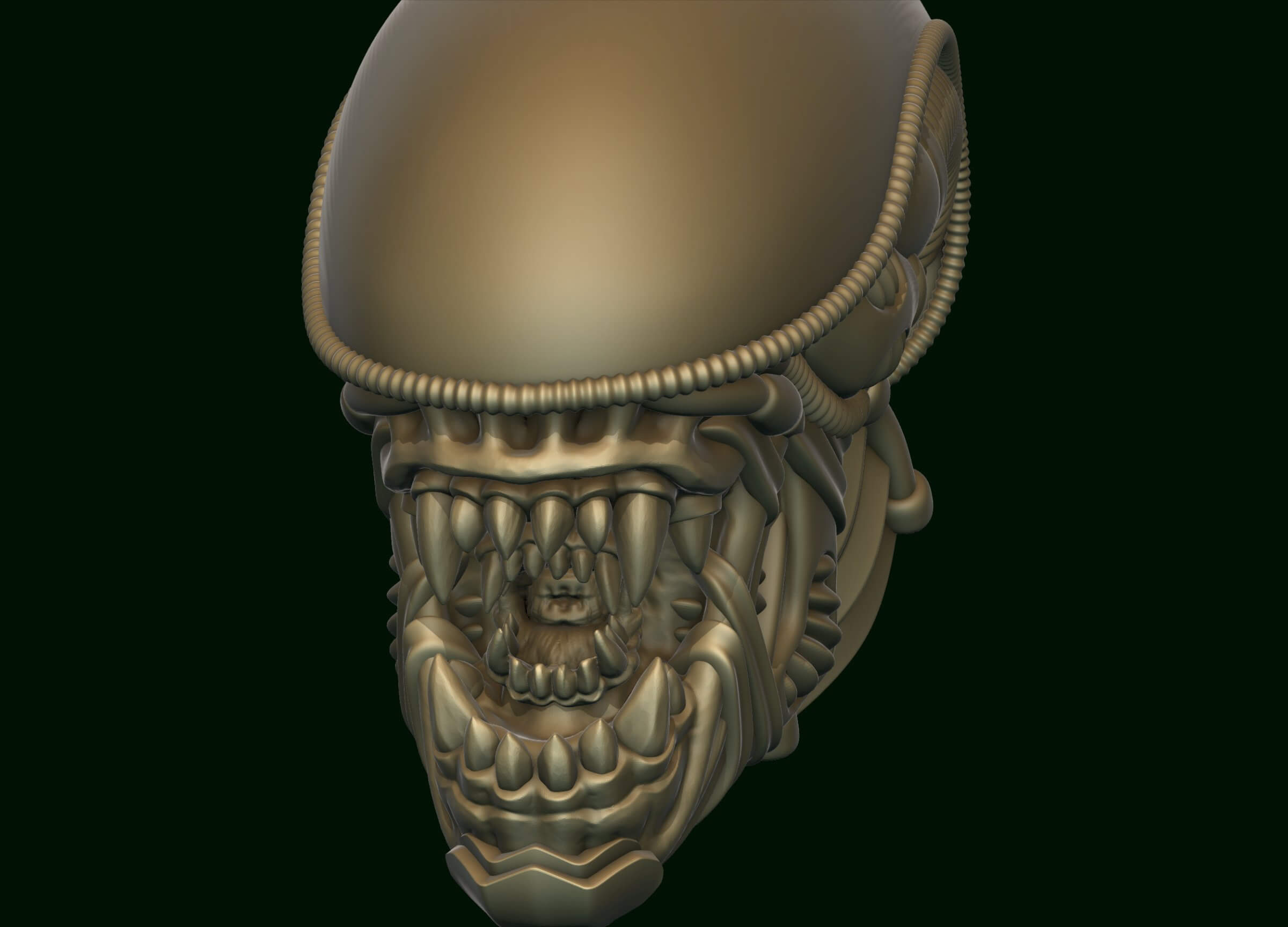 Xenomorph Alien Biomechanical Head - 3D Model by alexkovalev
