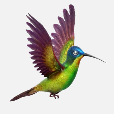 Fully Rigged Flying Hummingbird Animated