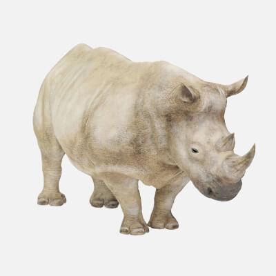 Fully Rigged Realistic Grey Rhinoceros Animated