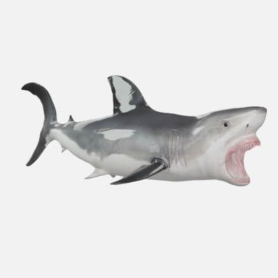 Great White Shark Marine Predator - Rigged and Animated
