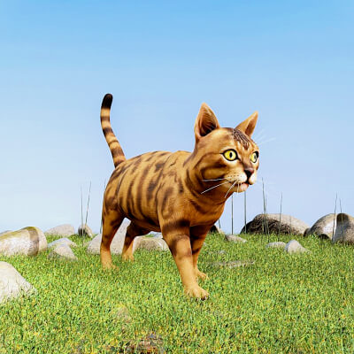 Realistic Cat Feline