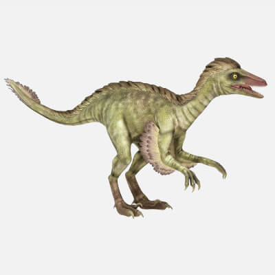 Realistic Prehistoric Feathered Troodon Dinosaur