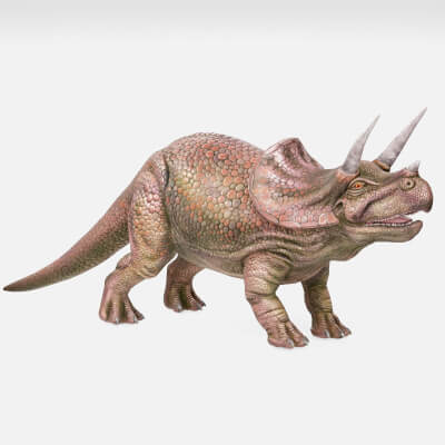 Realistic Prehistoric Triceratops Ceratopsian Dinosaur